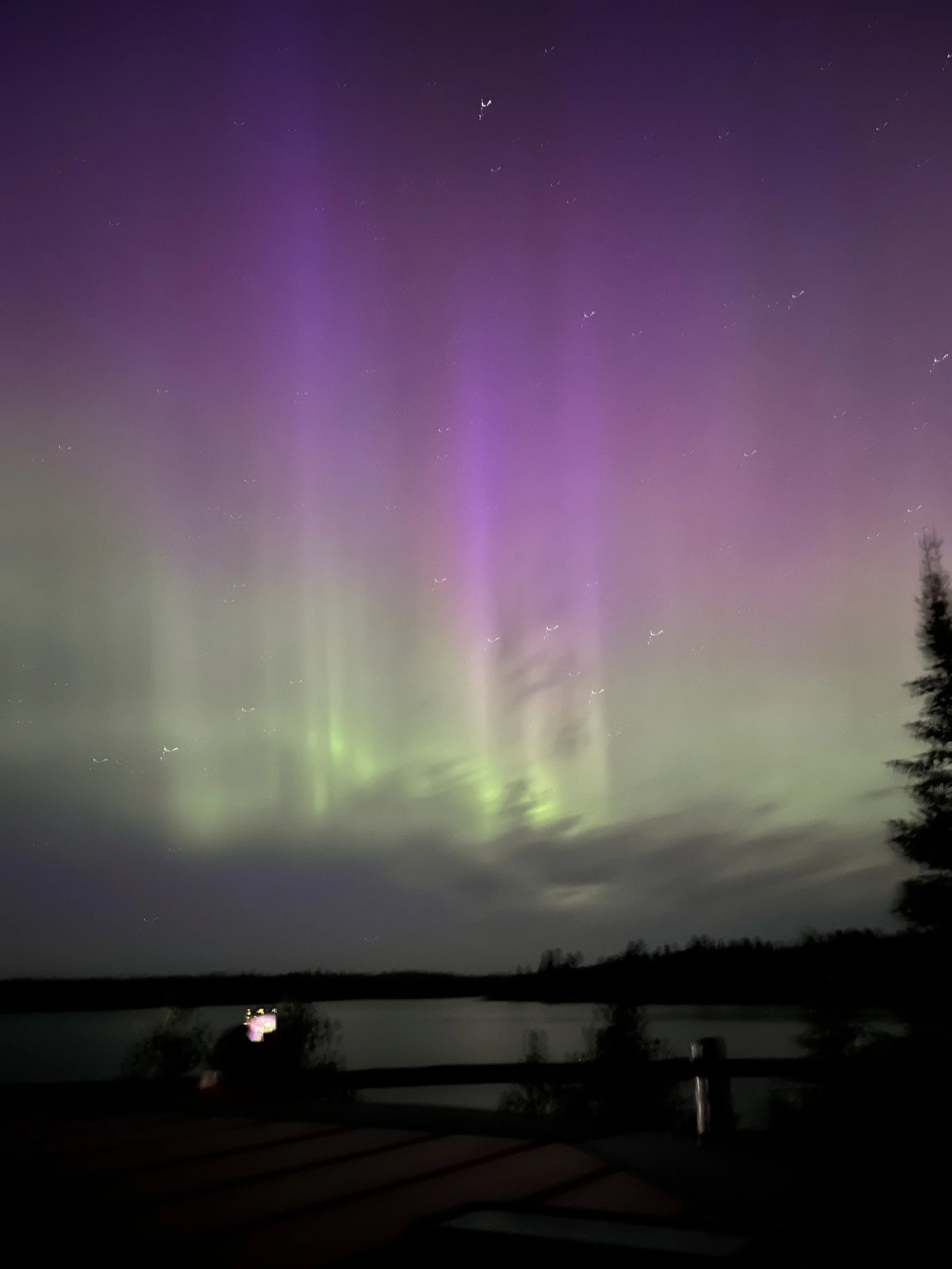 Night sky with visible aurora borealis and faint stars, outlined by a shadowed landscape with a tree on the right and a body of water at the bottom.