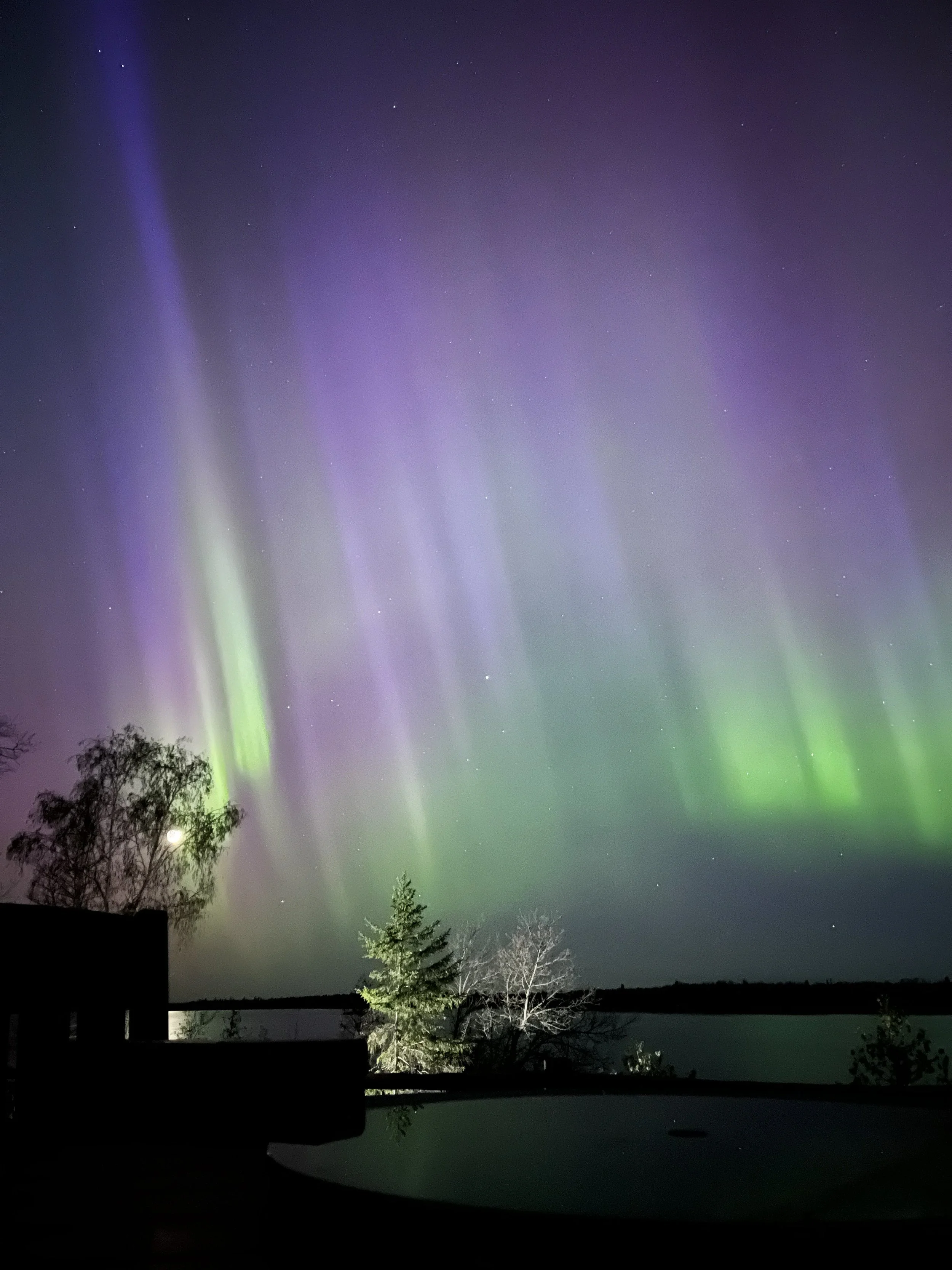Night sky displaying the Northern Lights with shades of green, purple, and white, near a lake with silhouetted trees and a moon visible near the horizon.