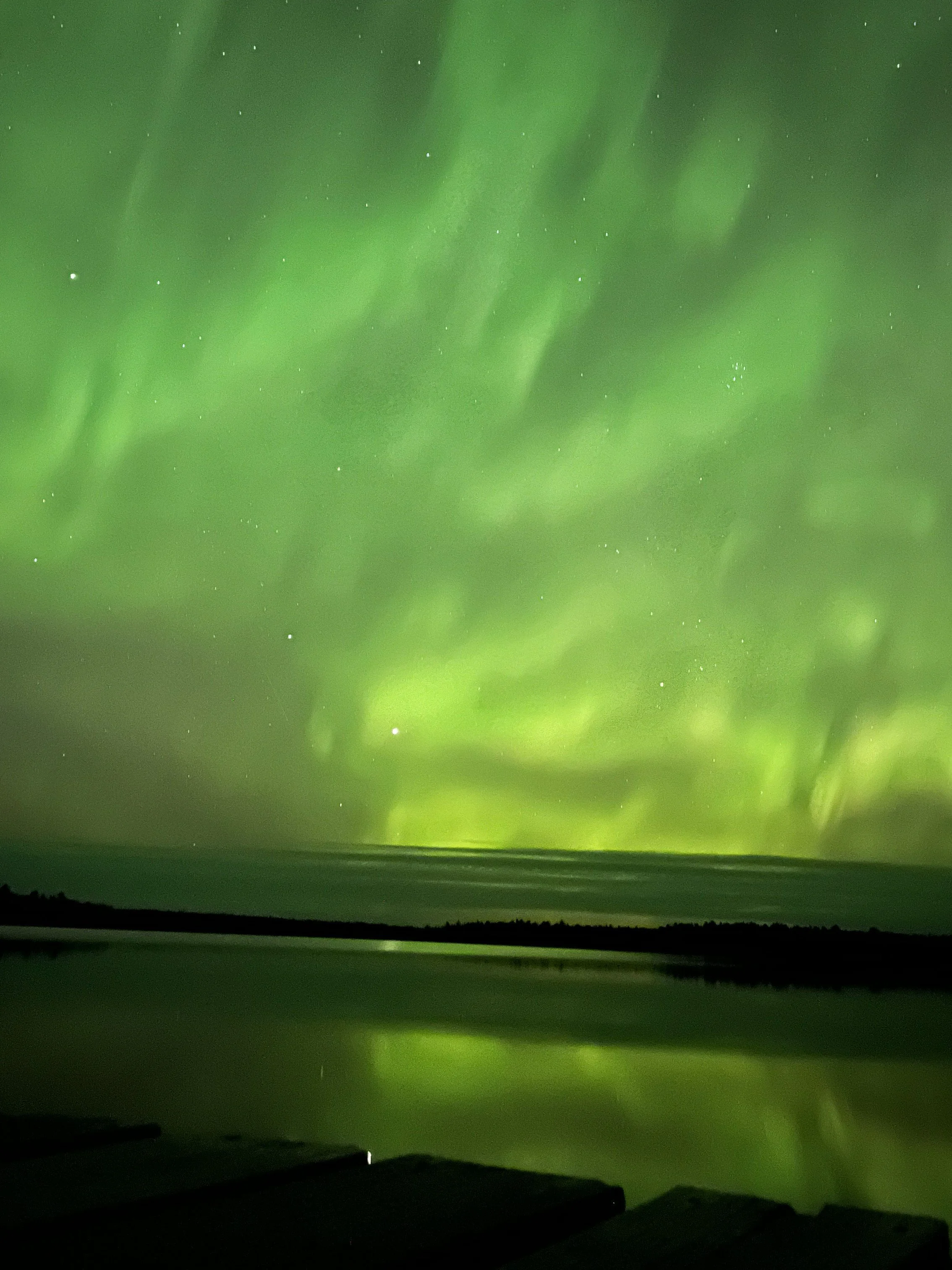 Northern lights illuminating a night sky over a lake and silhouette of trees.