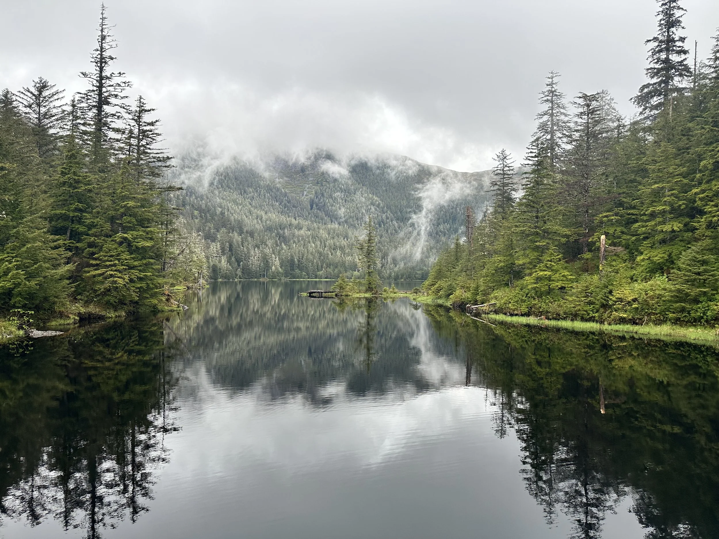 A serene mountain landscape with a calm lake in the foreground, surrounded by lush green trees, with misty mountains in the background shrouded in clouds.