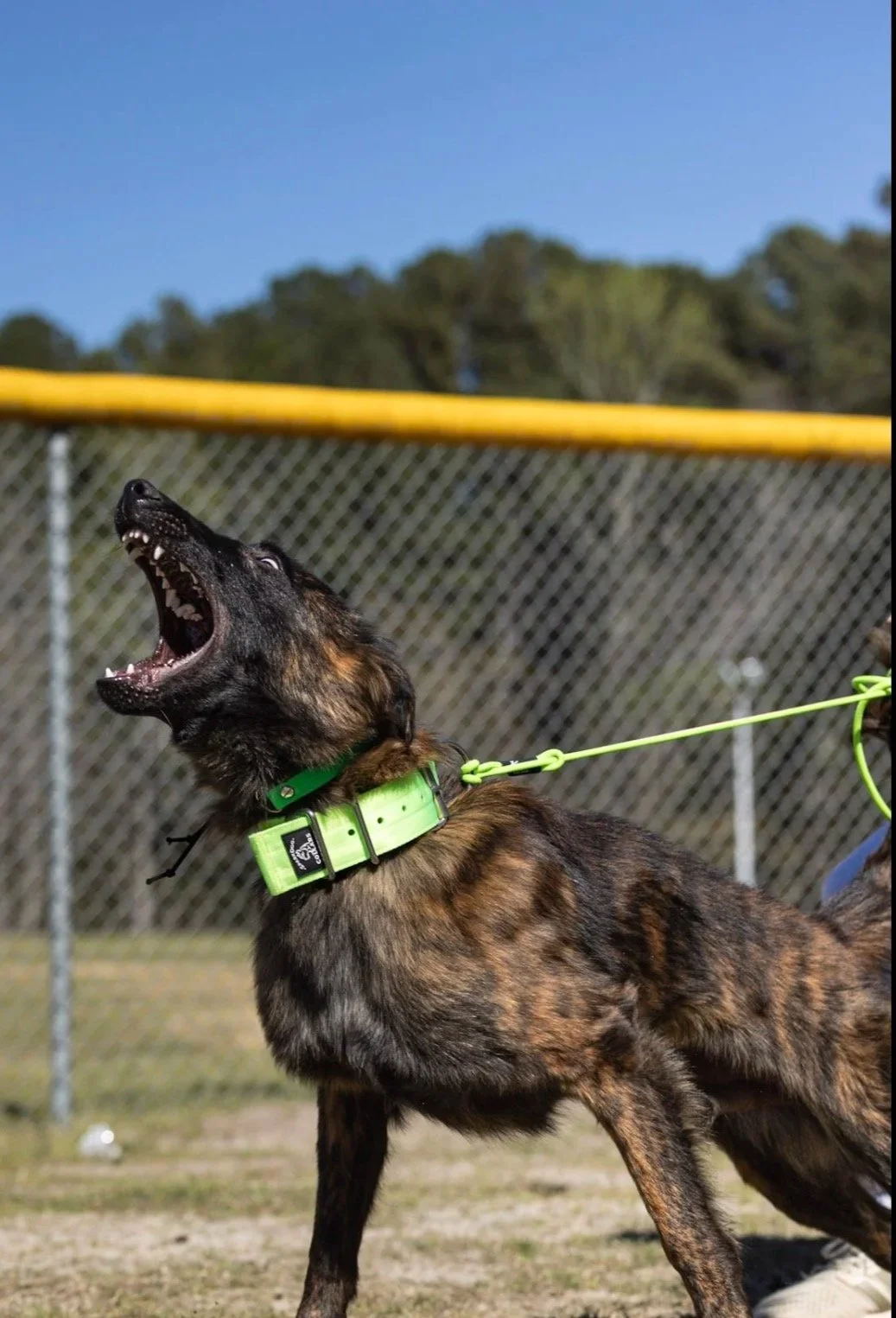 Behavioral Modification Training