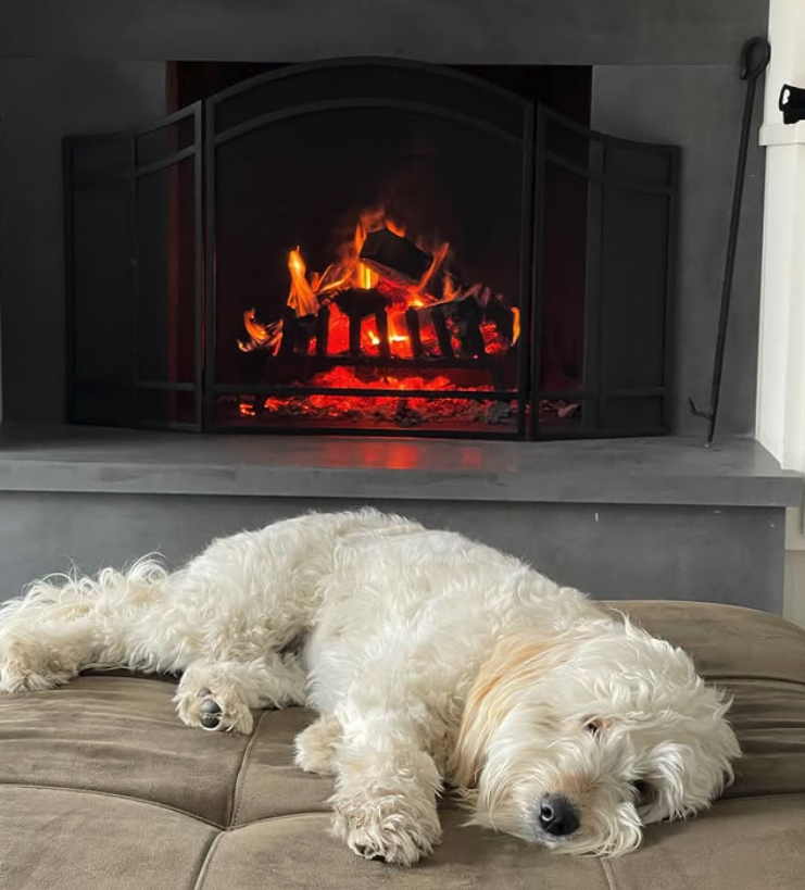 Fireplace-and-dog.png