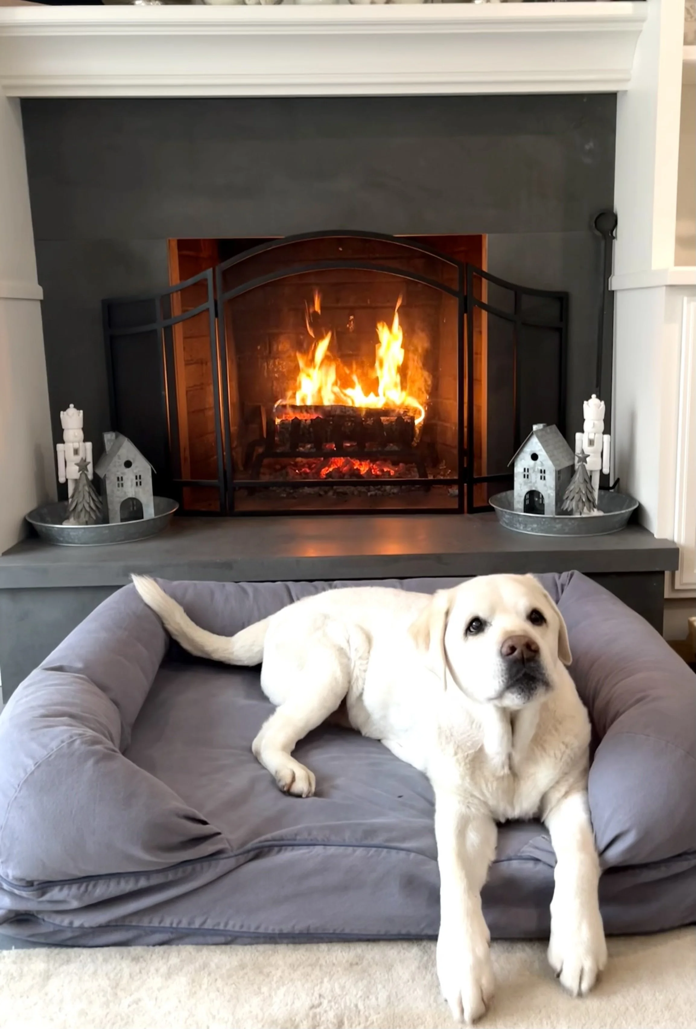 Sully & Fire.jpeg