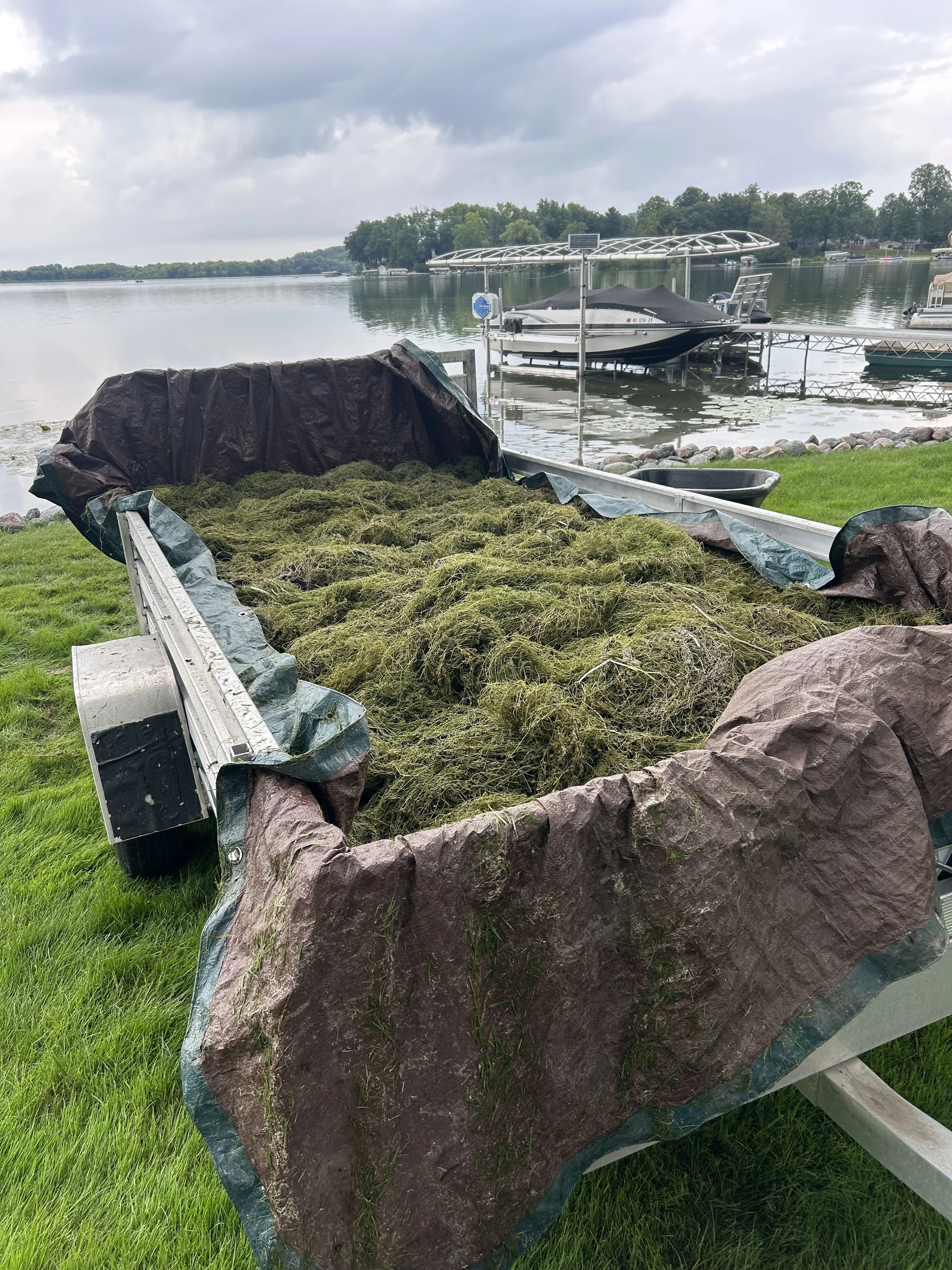 A boat lift on a dock holding a motorboat, with another boat visible in the background on the water, near a shoreline with trees and houses, under a cloudy sky.