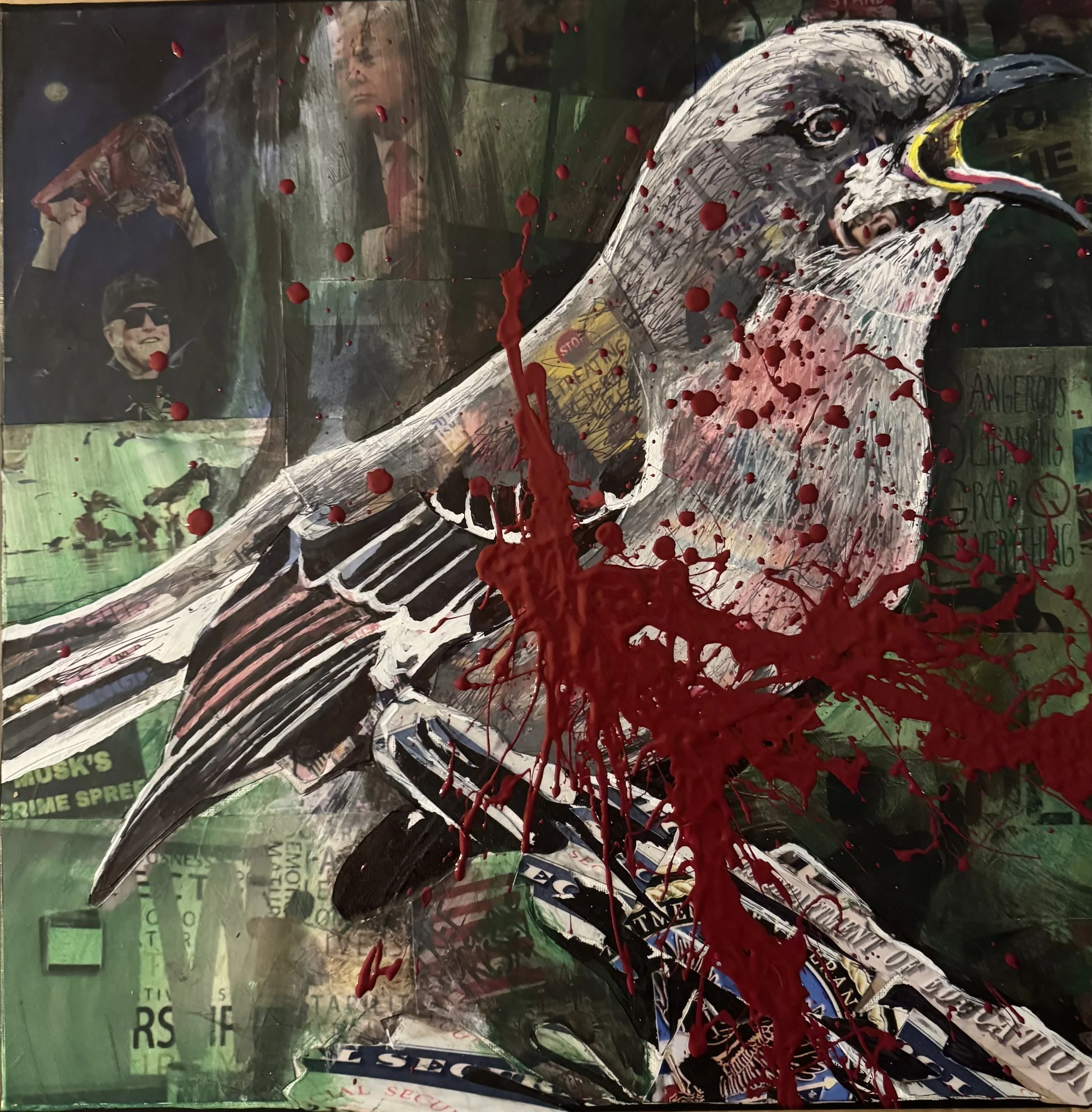 Shoot All The Bluejays You Want
