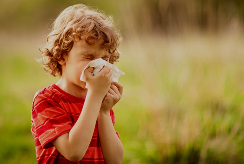 Allergy & Immunity