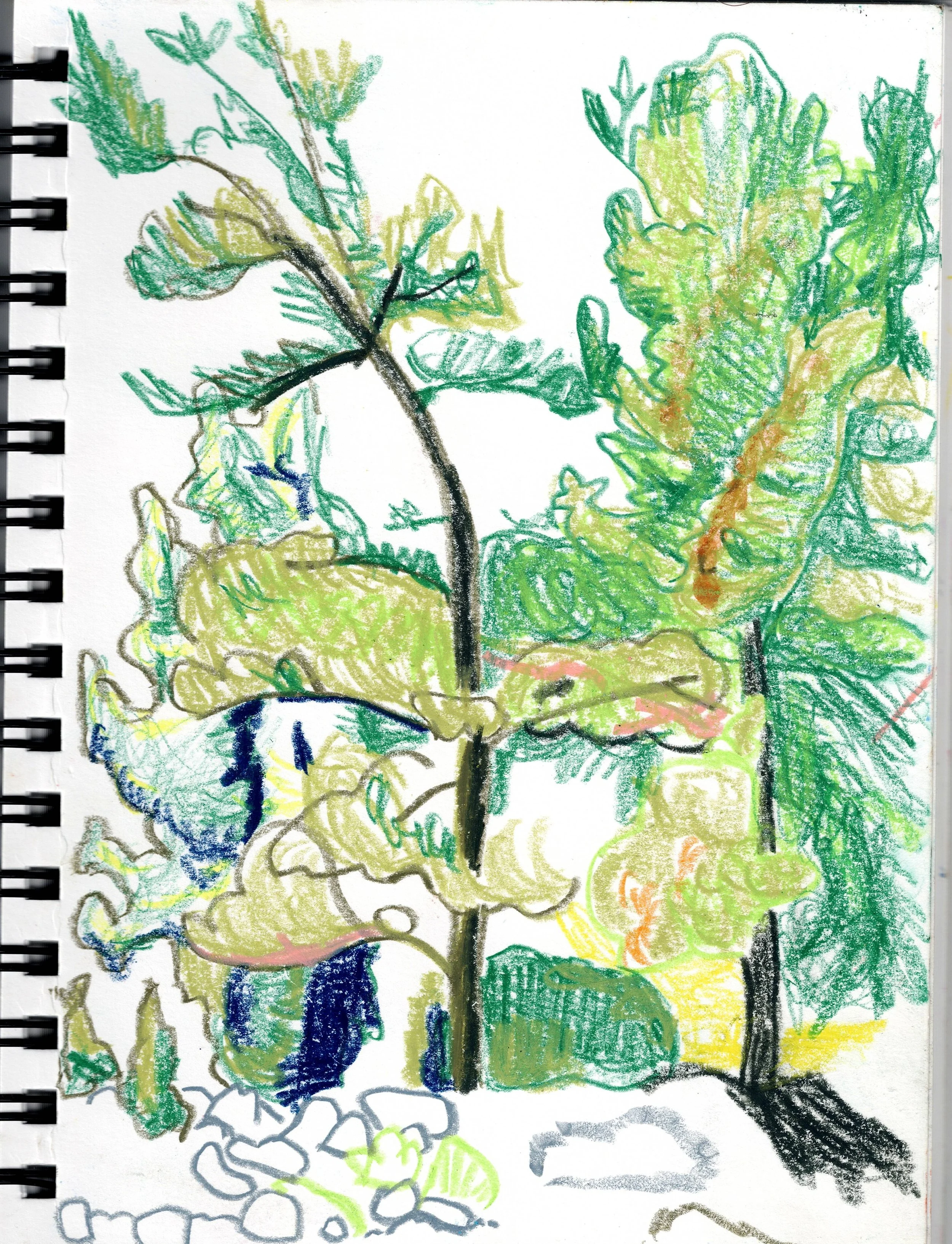Sketch5.23.jpg