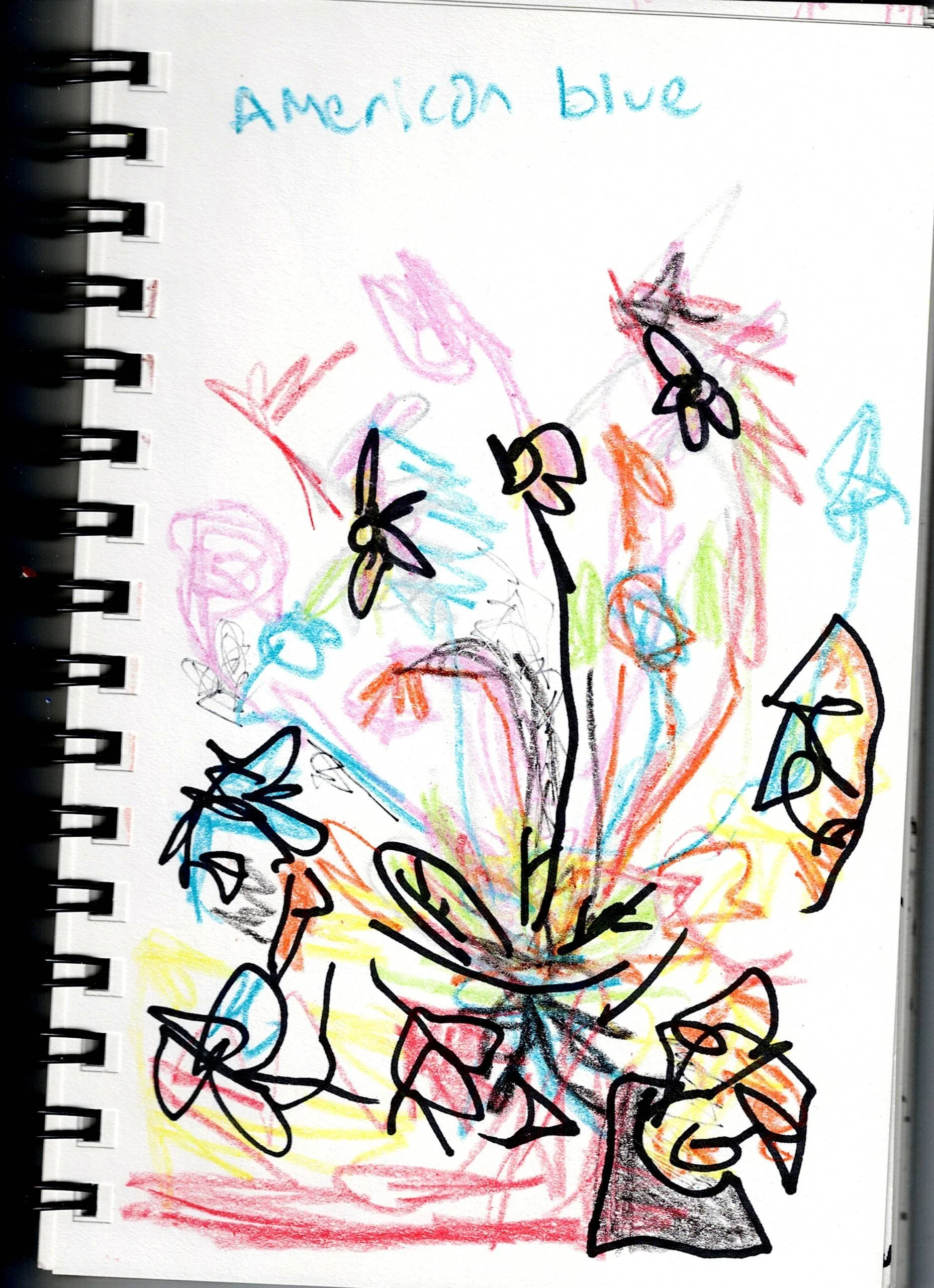 Scan2.14.jpg