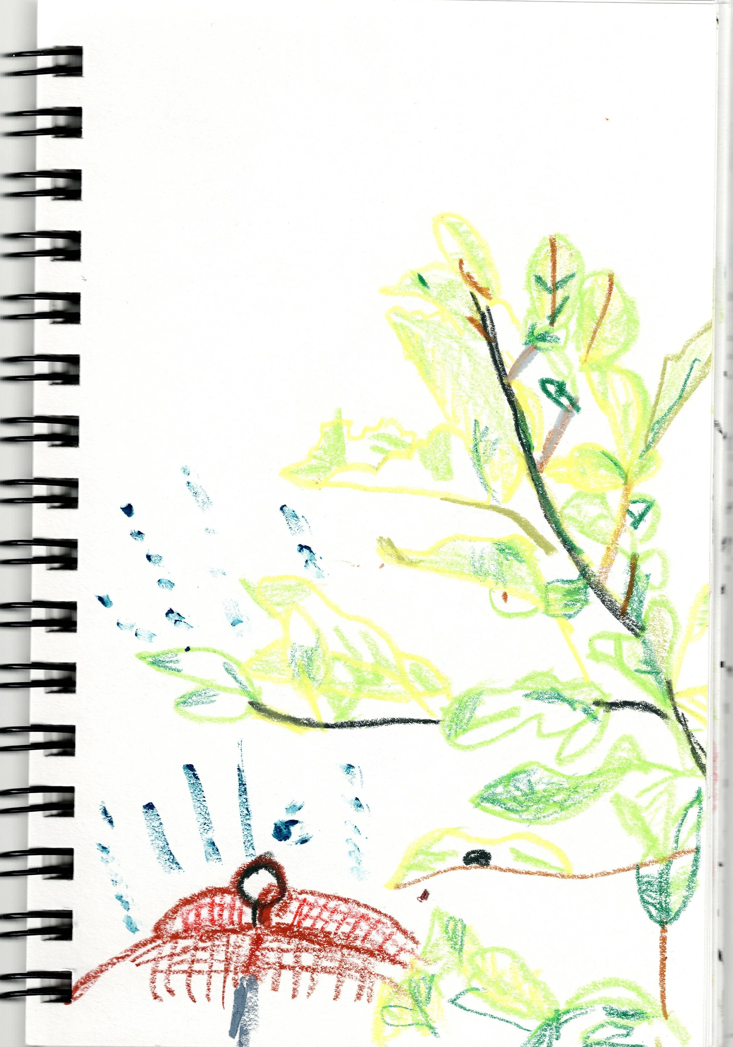 Sketch4.15.jpg