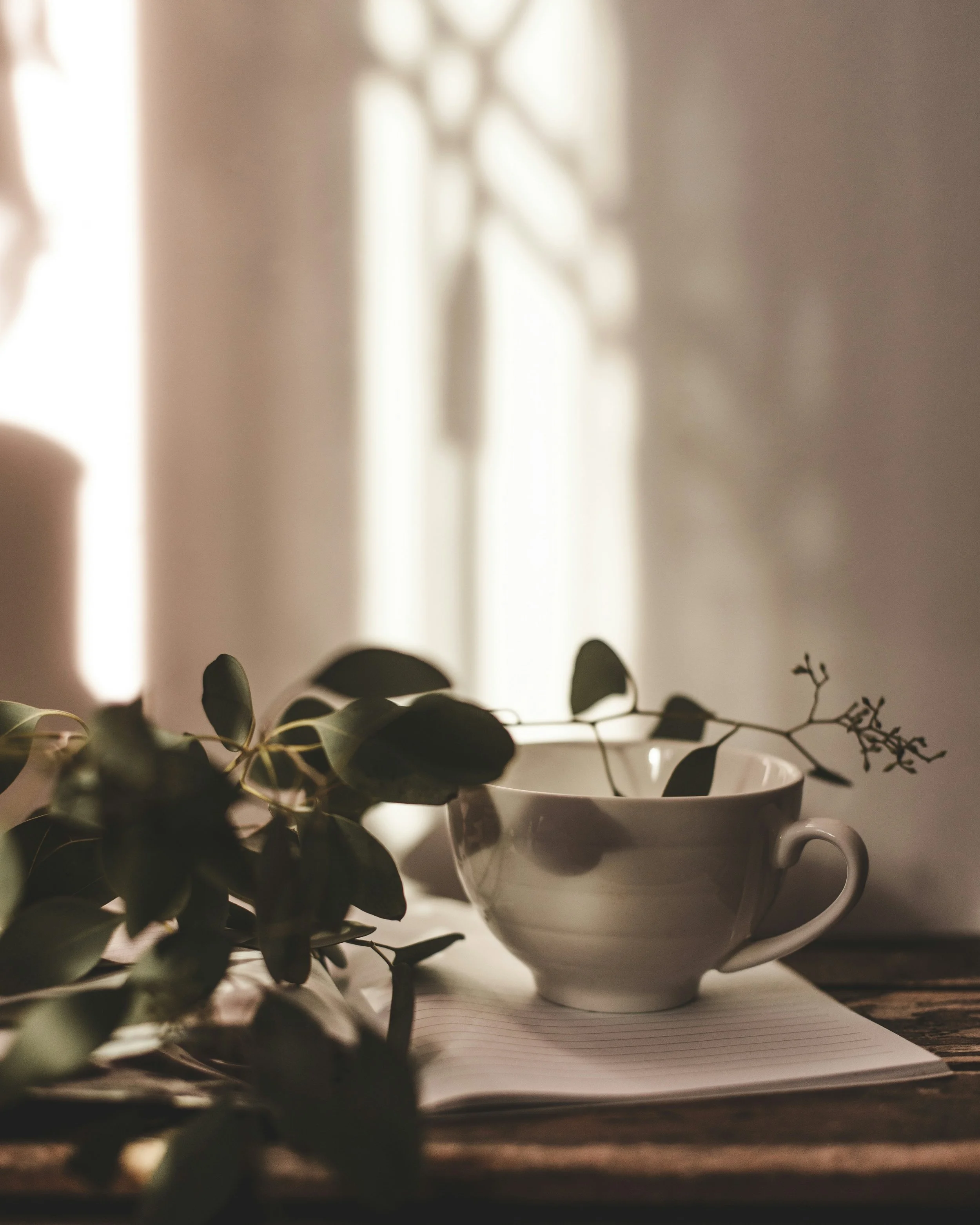 A white teacup with a handle sits on a piece of paper with horizontal lines. In the background, a white curtain allows light to softly filter into the room. Green leaves and small sprigs are in the foreground, partially obscuring the cup.