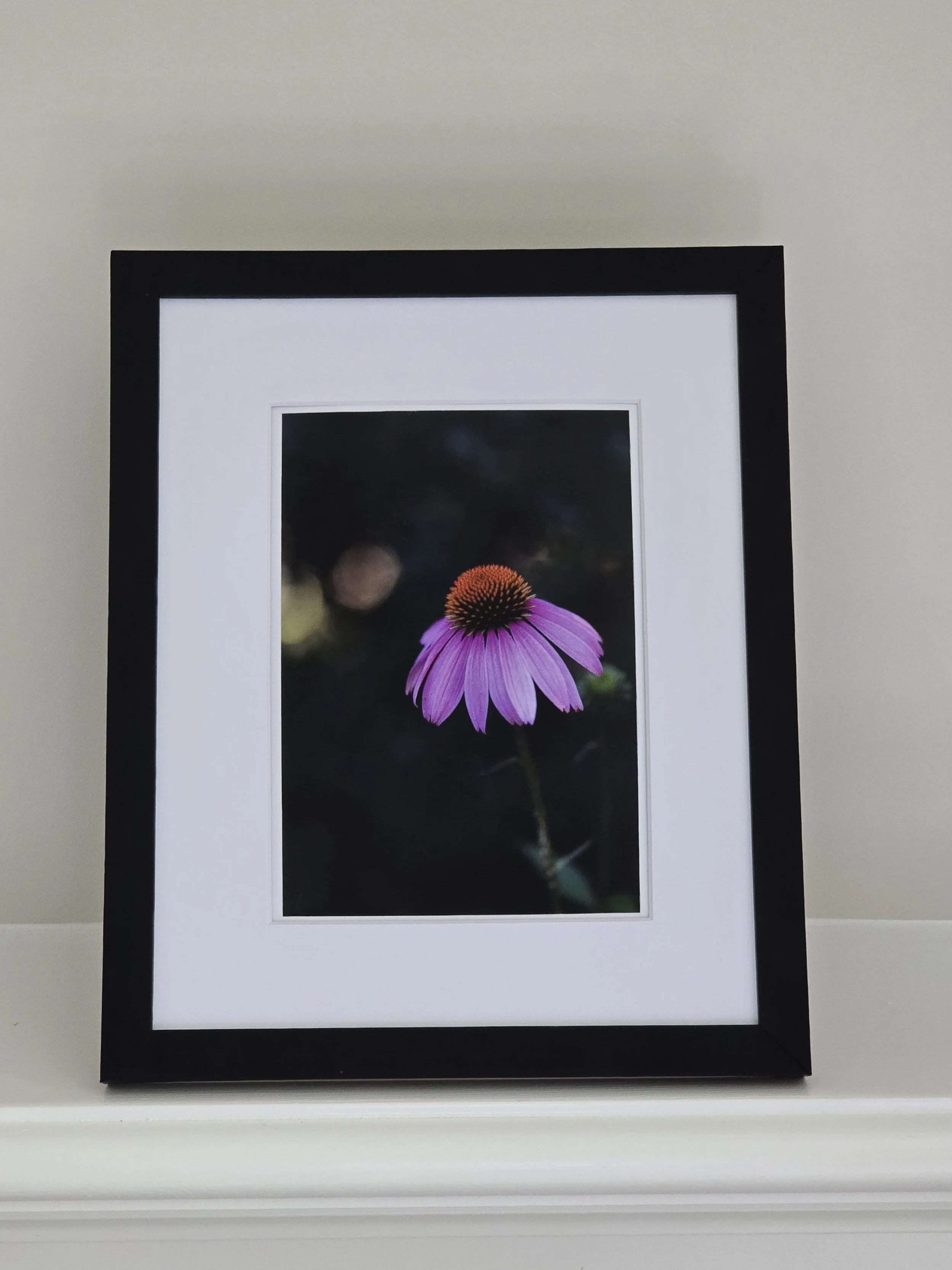 Suspended in Bloom -  5x7 photo - in 8x10 White Mat
