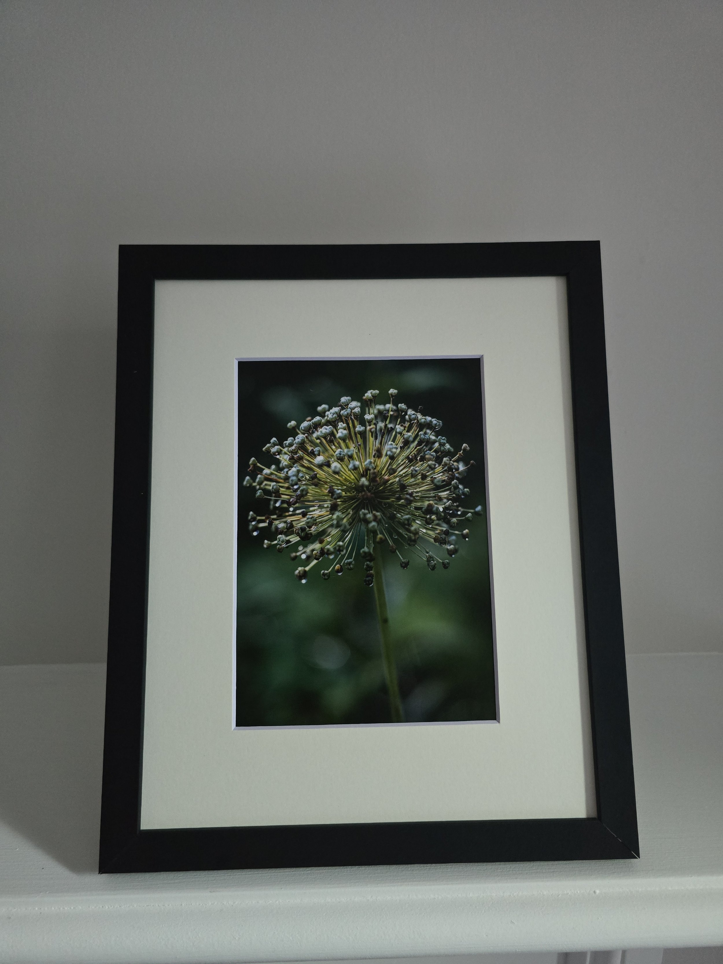 Orb in Silence - 5x7 photo - in 8x10 White Mat
