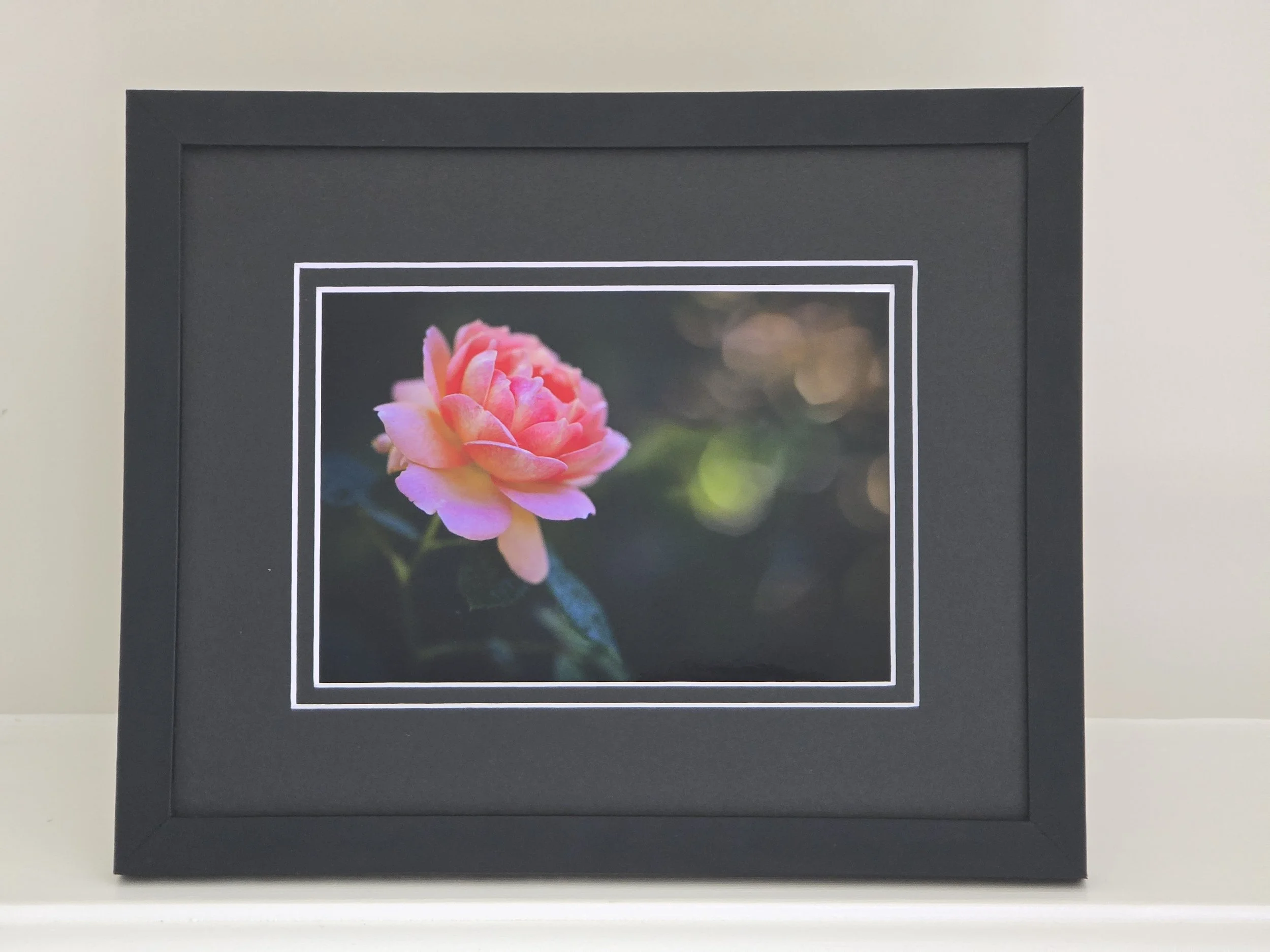 Pink Elegance - 5x7 photo - in 8x10 Black Mat