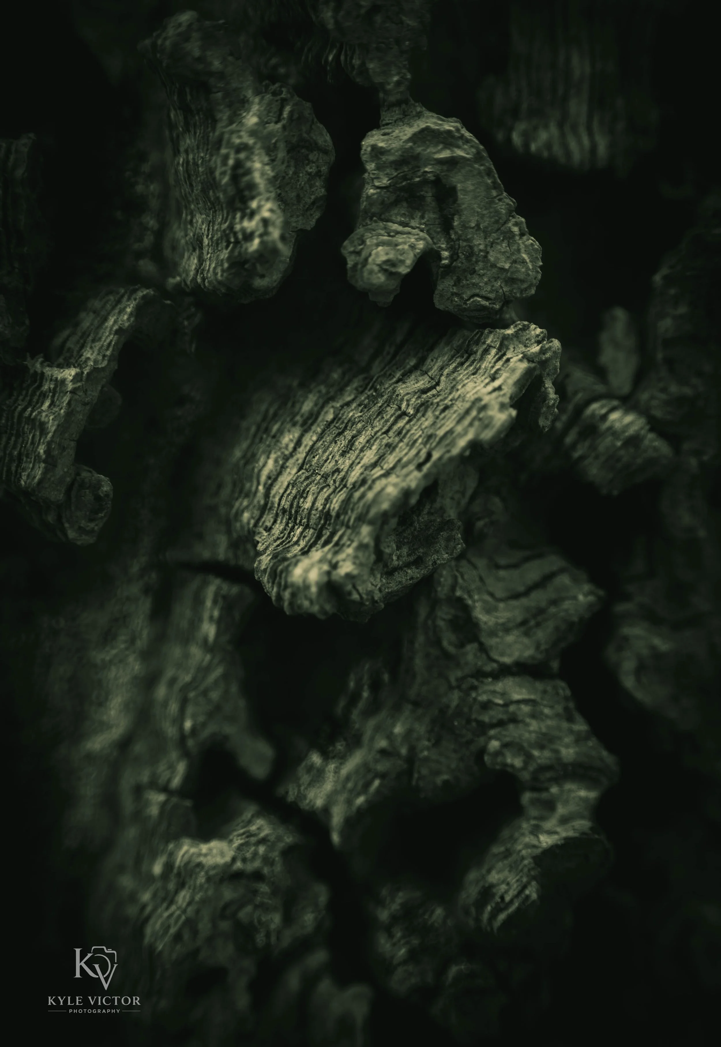 Close-up of weathered, textured dark gray rocks with deep crevices and vertical striations, arranged in a rugged formation.