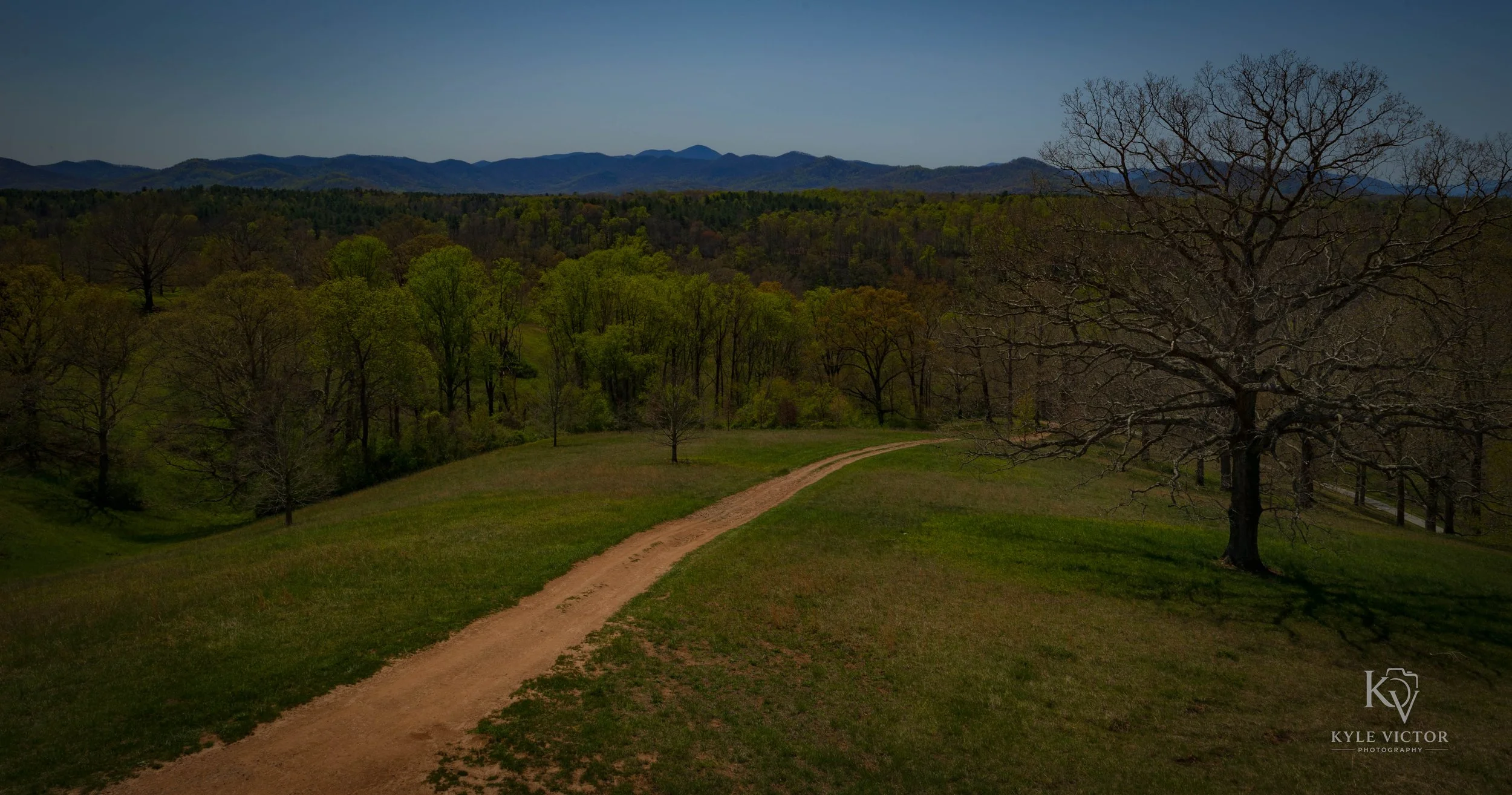 A rural landscape with a dirt path winding through green grassy fields and trees, with mountains in the background and a clear blue sky.