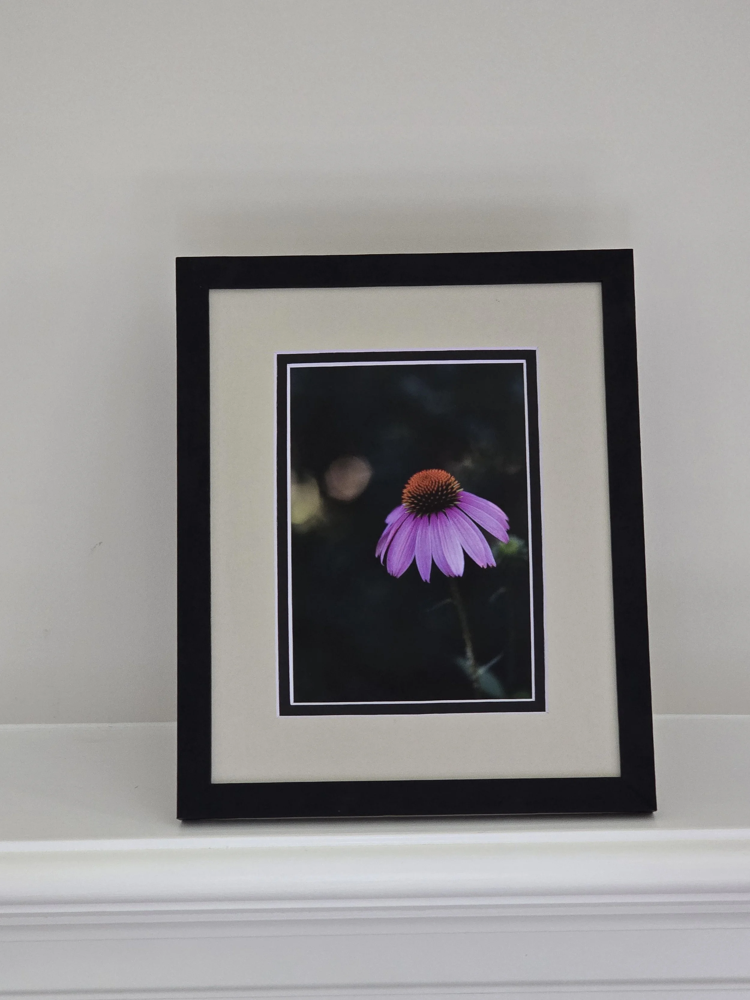 Solitary Bloom -  5x7 photo - in 8x10 Tan Mat