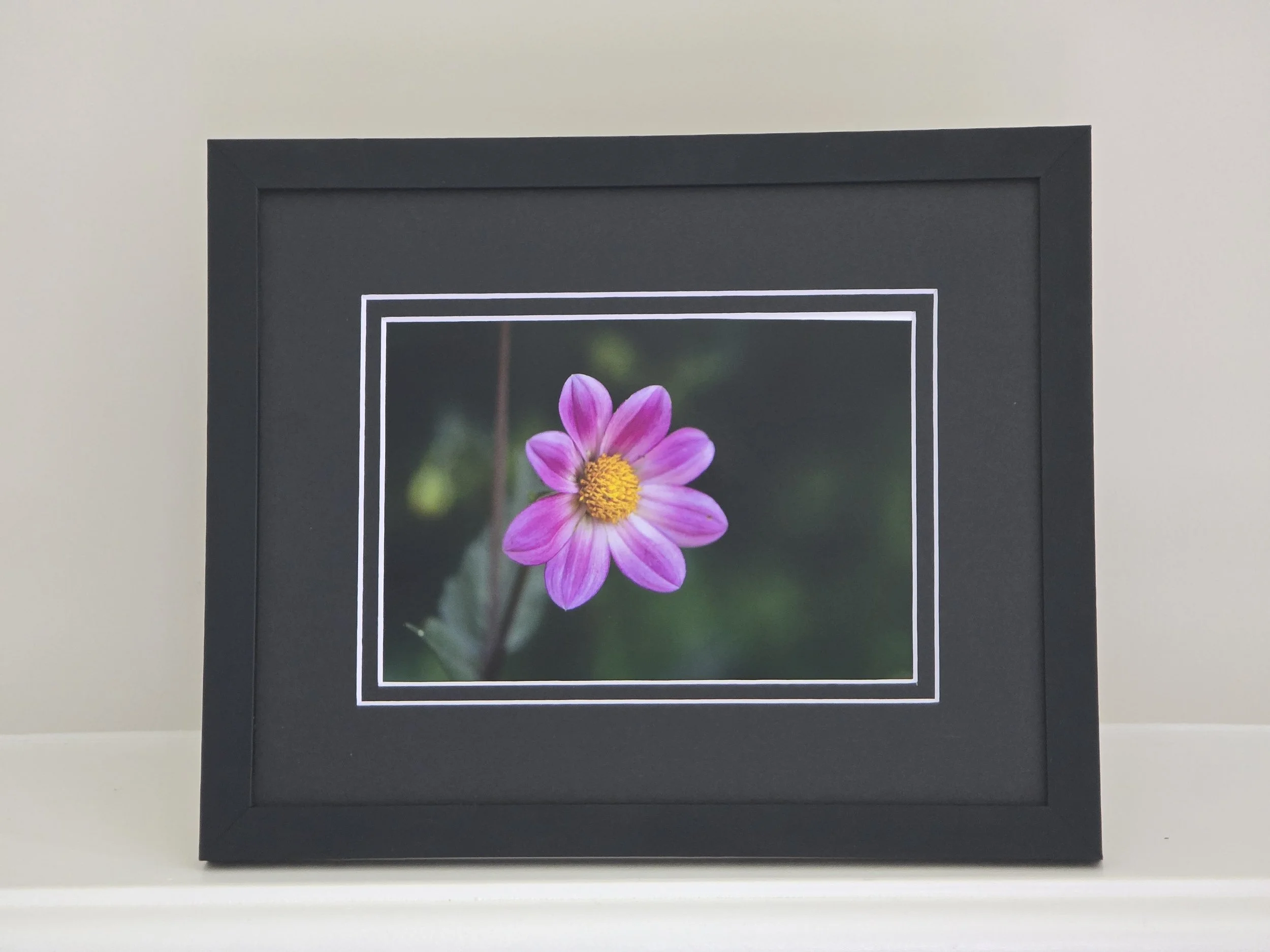 Natural Symmetry - 5x7 photo - in 8x10 Black Mat