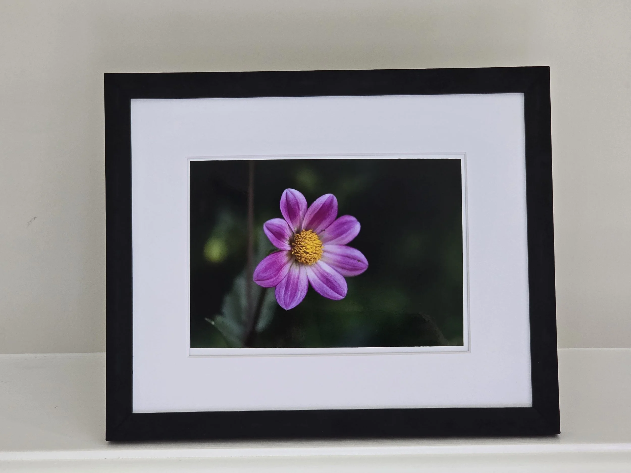 Natural Symmetry - 5x7 photo - in 8x10 White Mat