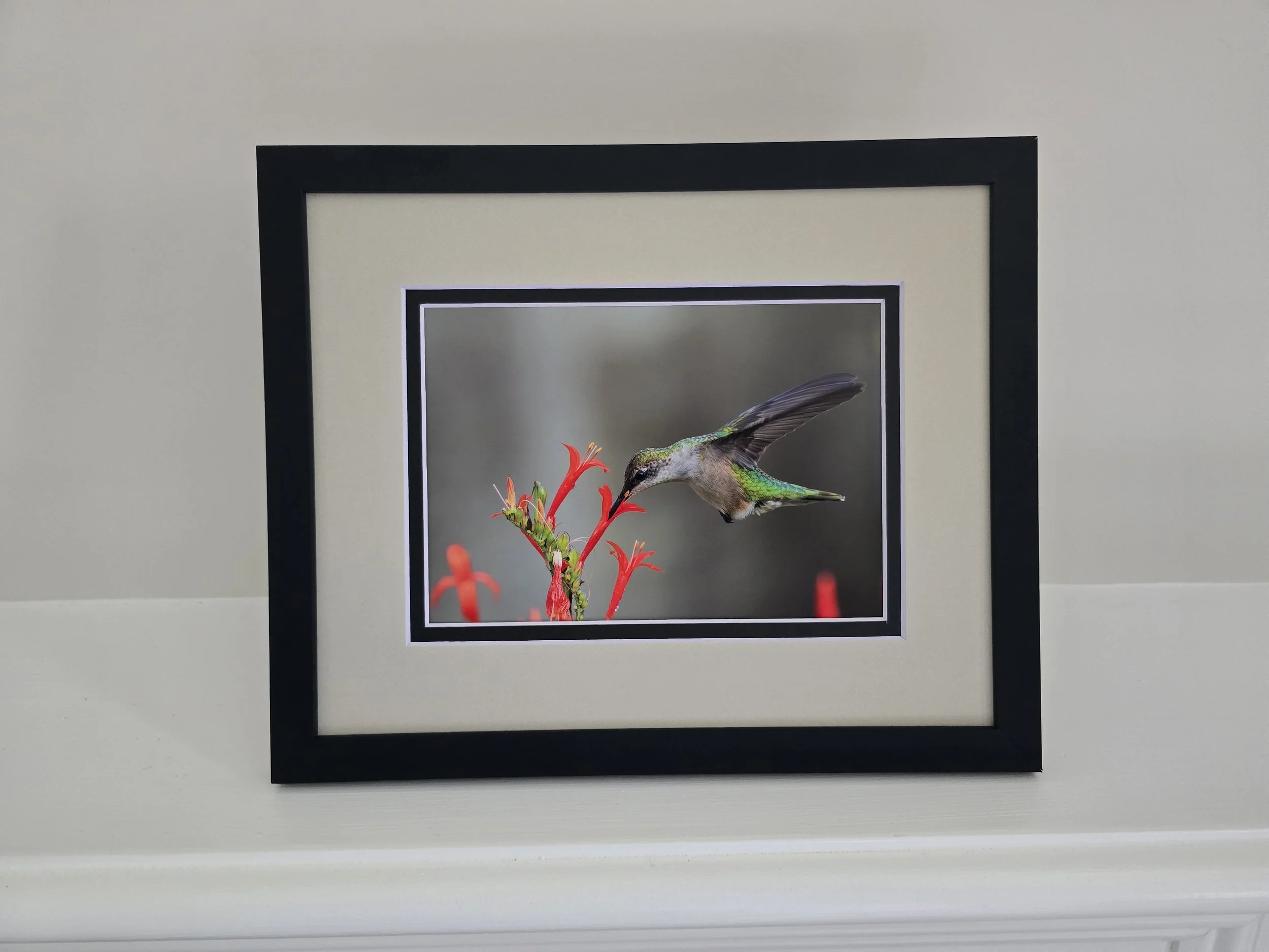 Suspended in Bloom -5x7 photo - in 8x10 Tan Mat