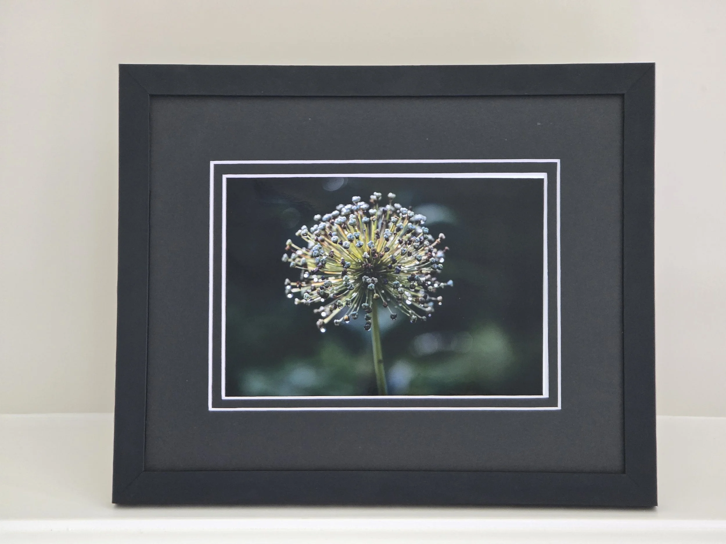 Orb in Silence - 5x7 photo - in 8x10 Black Mat