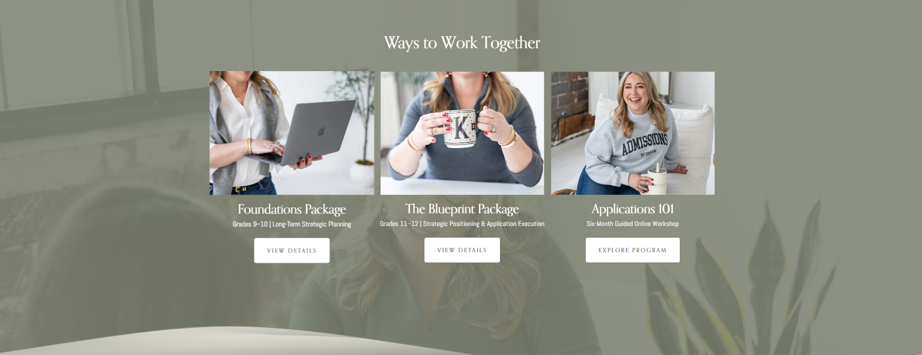 Custom web design for educational consultant and application advising.png
