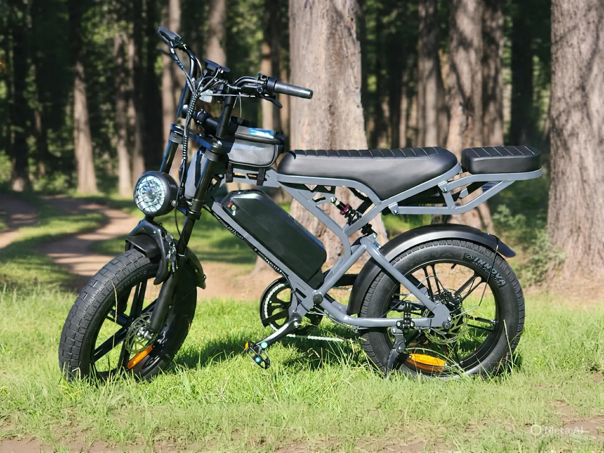 V20 Pro E-bike