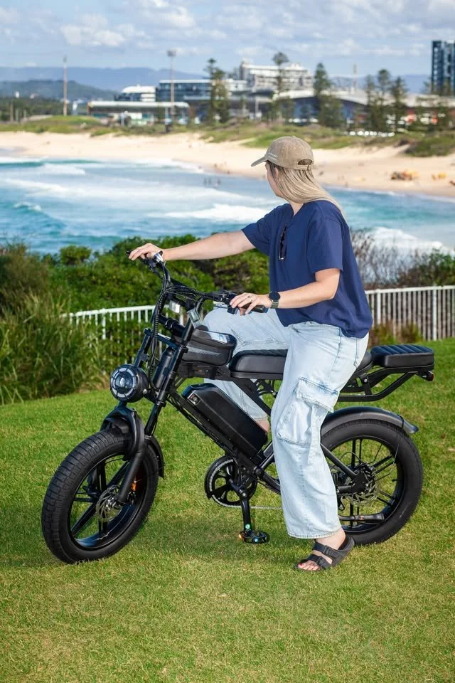 V20 Pro E-bike