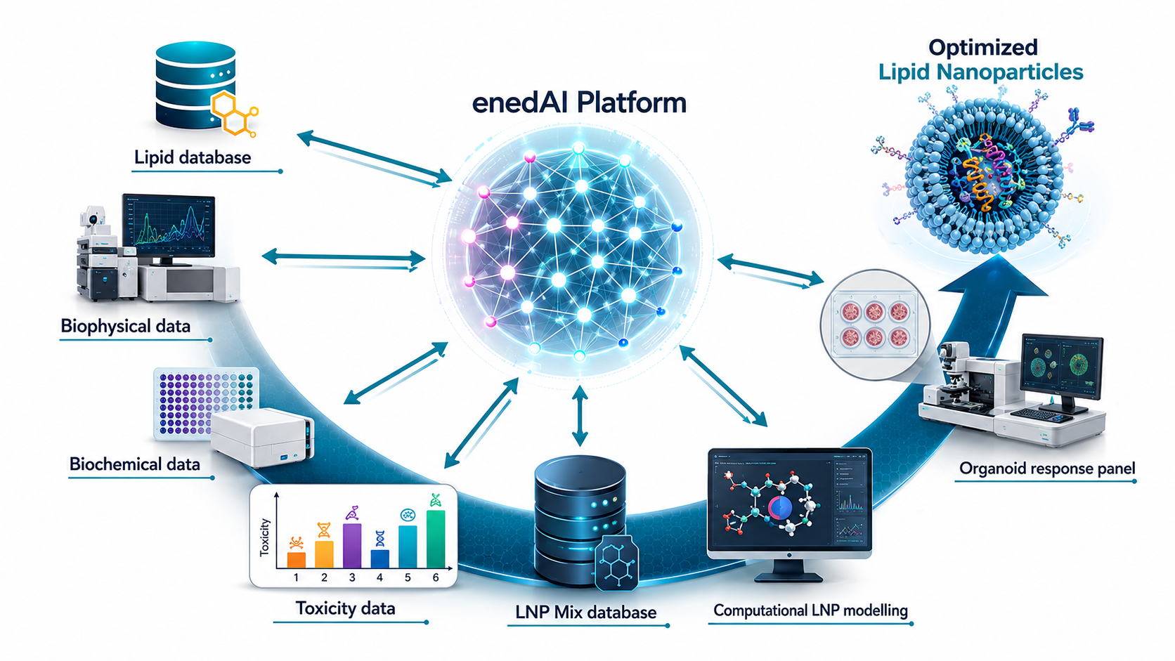 Functional diagram of EnedAI