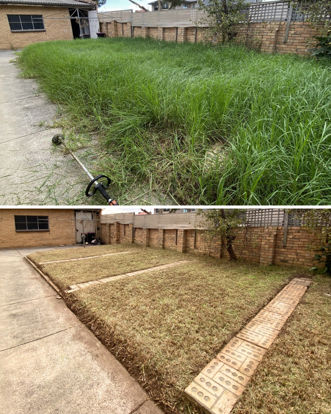 Before and after images of a backyard, showing overgrown grass in the first image and a freshly mowed and edged lawn in the second image.