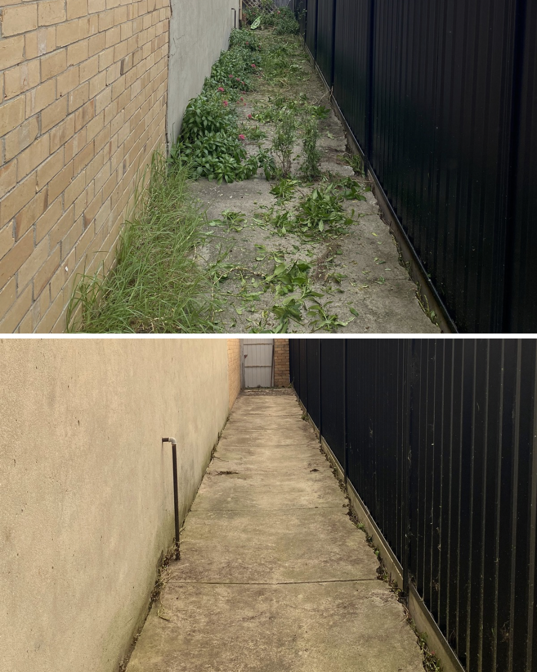 Side yard showing before and after cleaning, with overgrown plants and weeds removed, leaving a clean concrete surface.