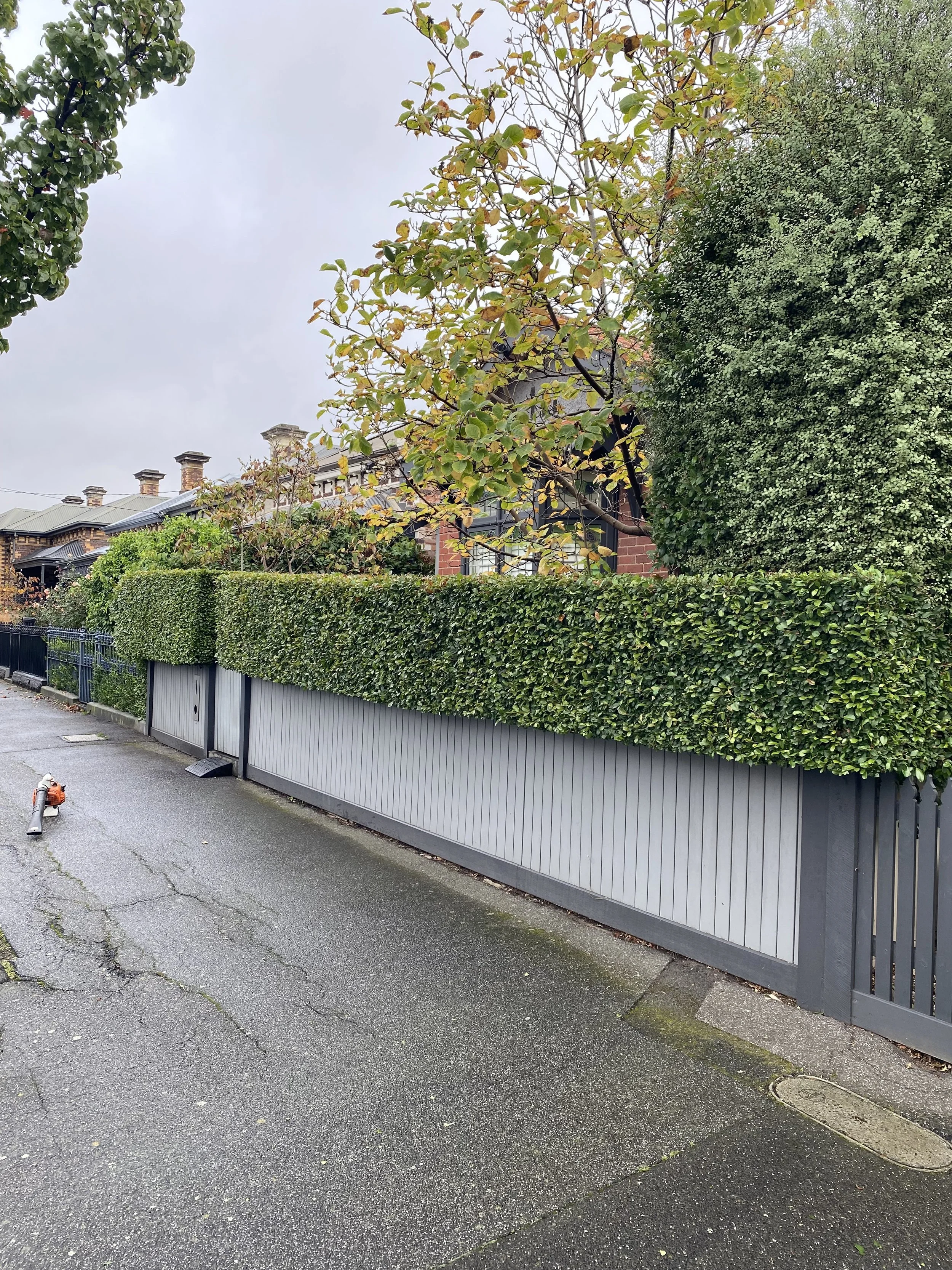 Sidewalk with a closed gate and hedge, houses in the background, and a partially visible orange and white power tool on the ground.