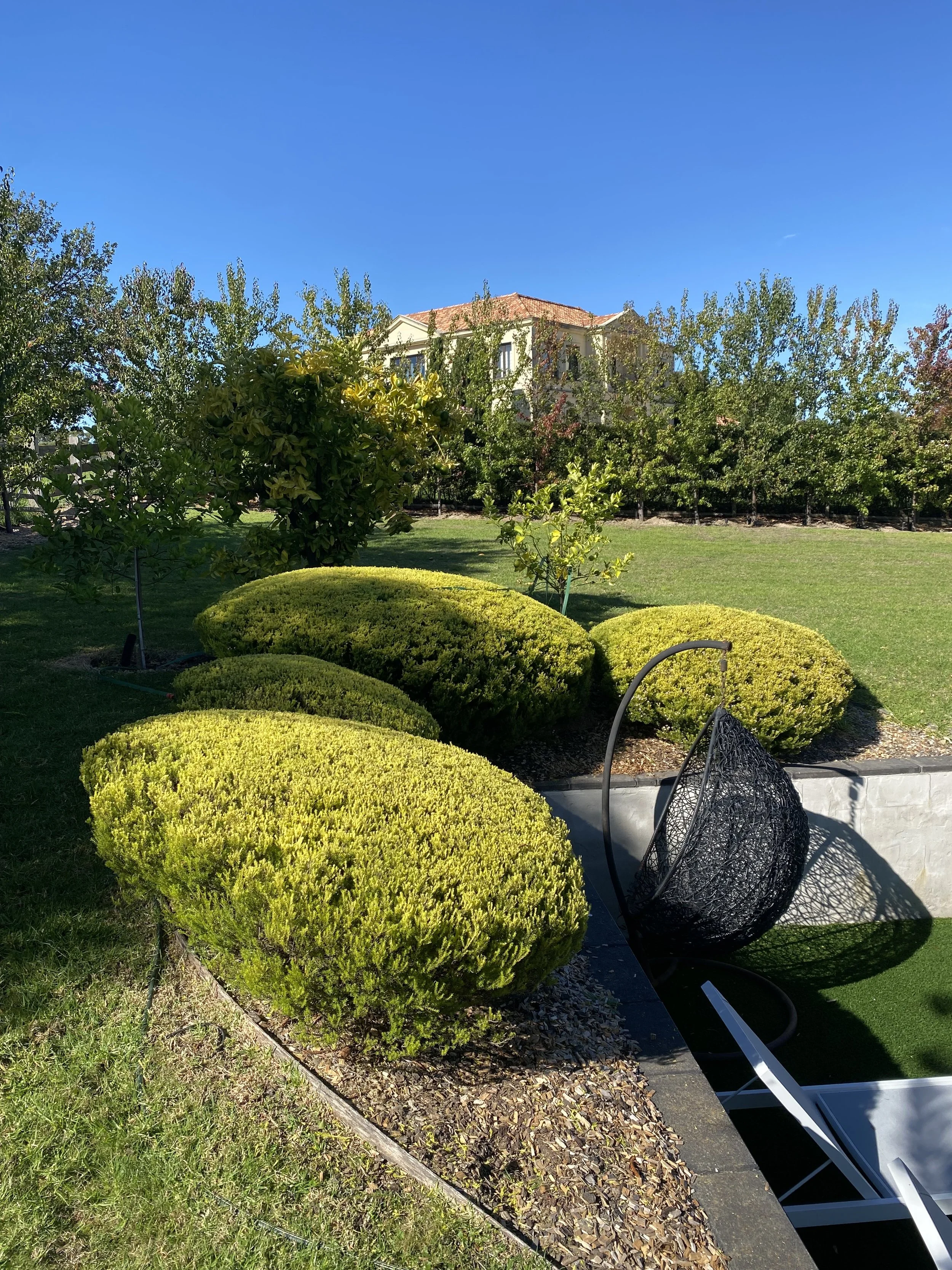 A lush, landscaped garden with trimmed bushes, trees, and a well-maintained lawn, with a large residential house on a hill in the background under a clear blue sky.