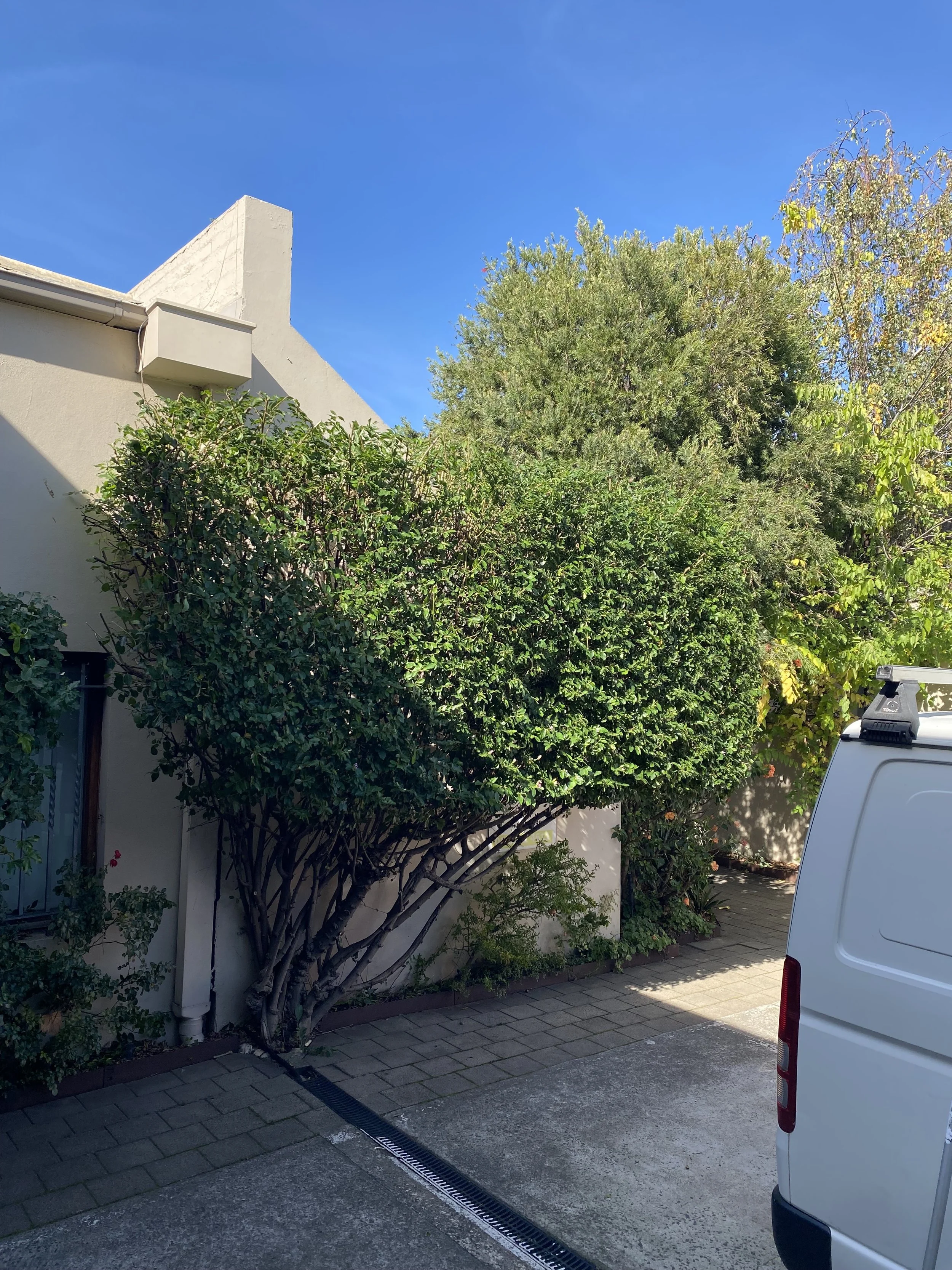 A white van parked on a driveway with a lush green hedge and trees behind it, and a building with a chimney and a gutter system against a bright blue sky.