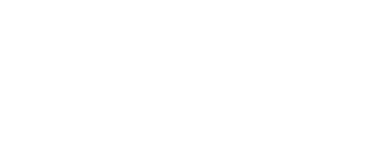 Wellmax Saunatainment