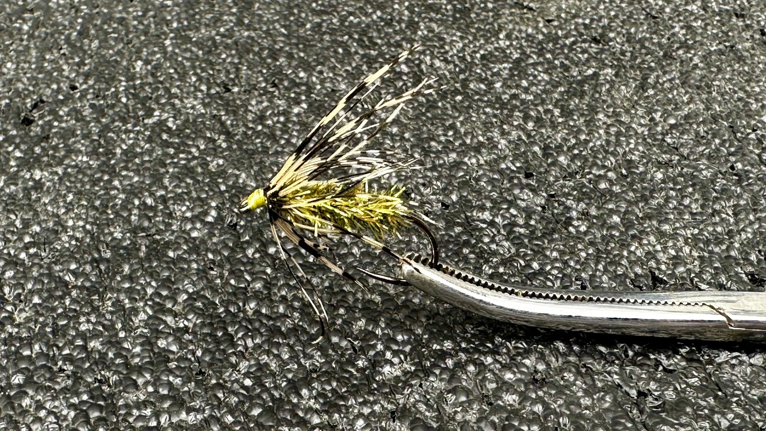 Carey Special Golden Olive Size 6