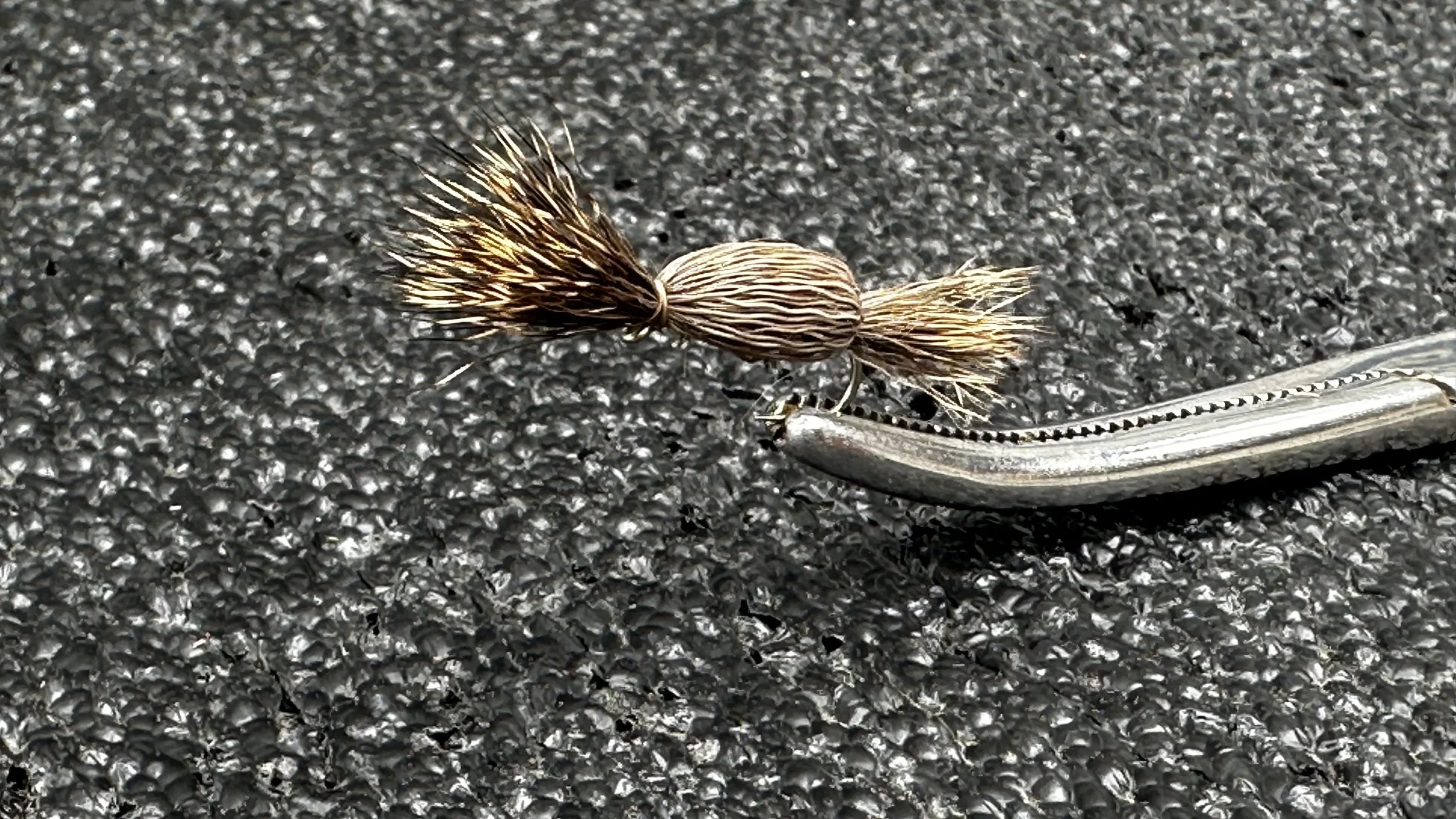 Tom Thumb Natural Size 10