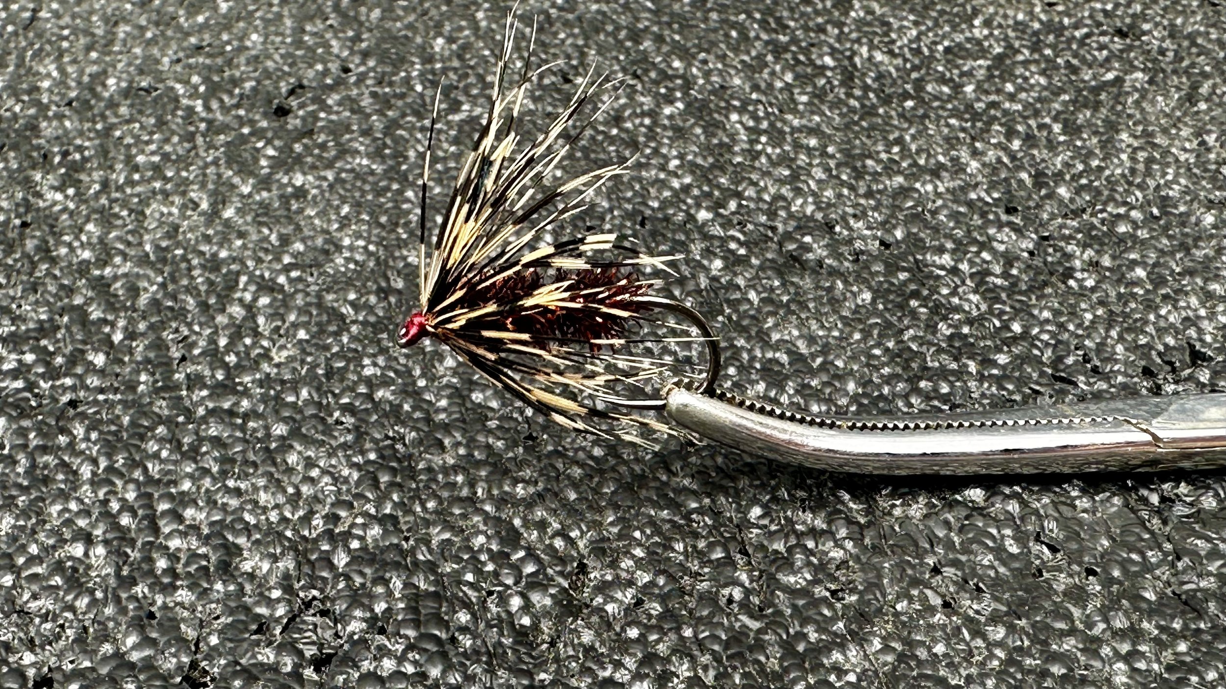 Carey Special Burnt Brown Size 6