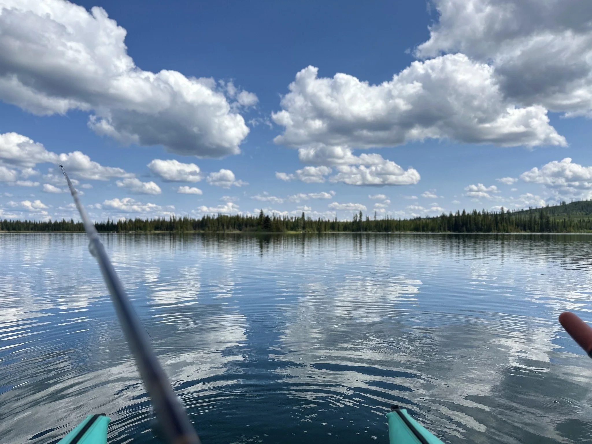 A lake with a forested shoreline and a partly cloudy sky with fluffy white clouds.