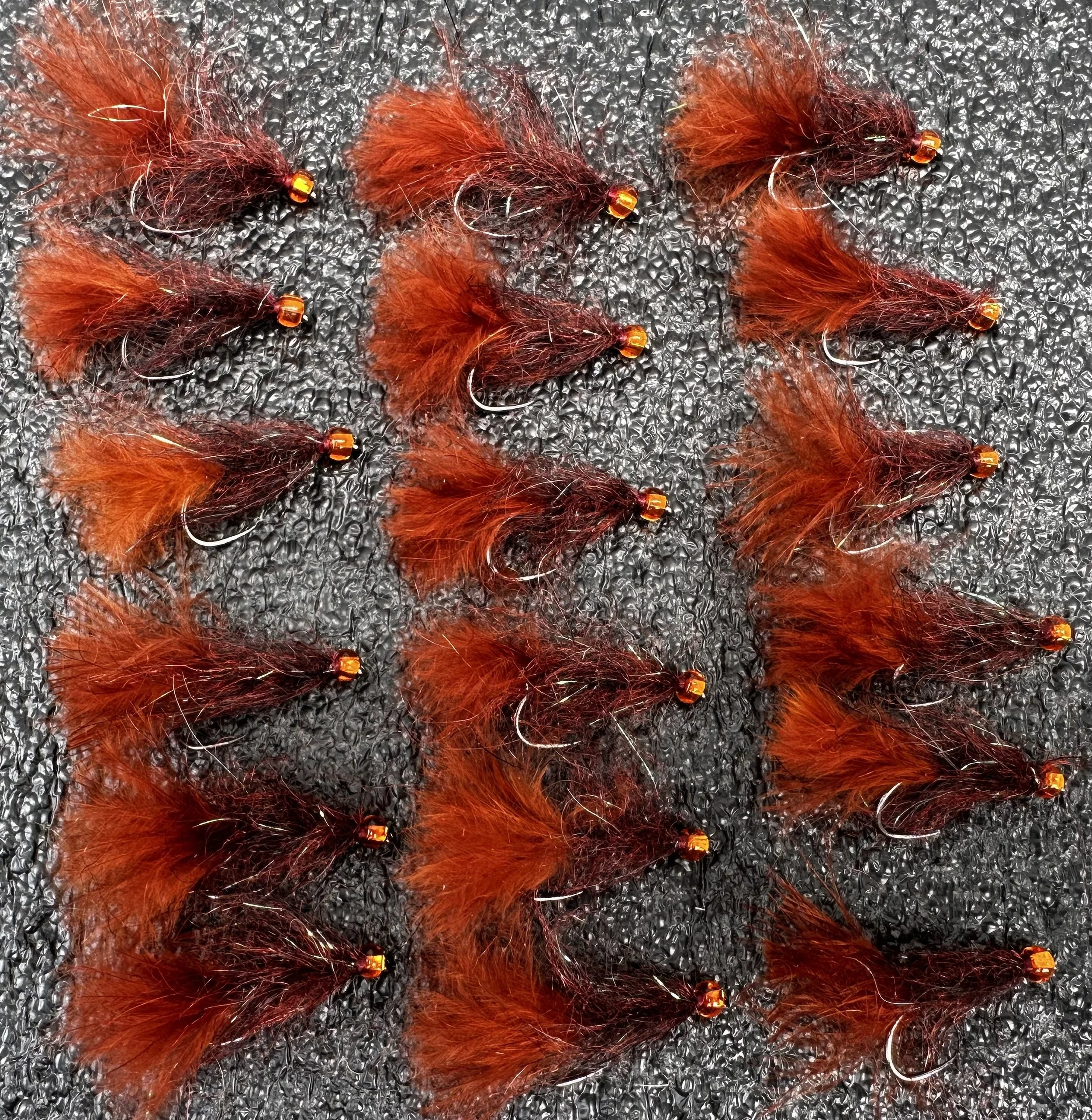 Dazzle Leech Pumpkin Head Blood Leech Size 8