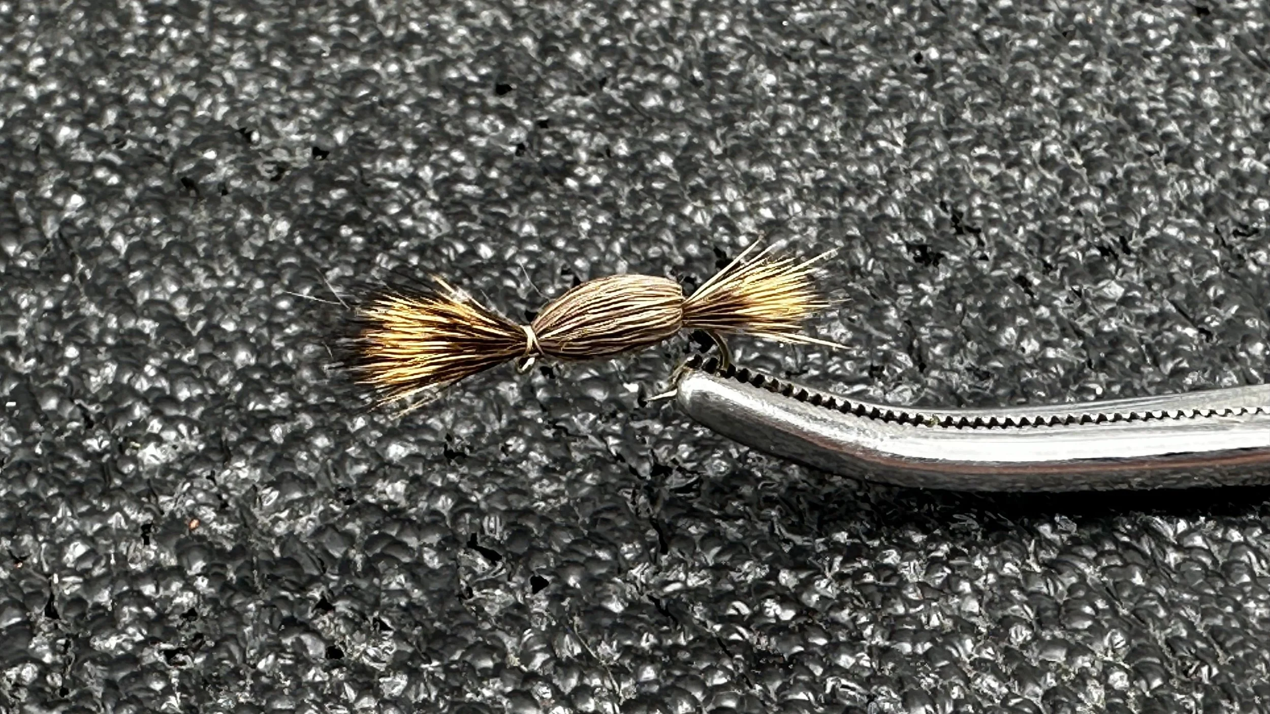 Tom Thumb Natural Size 12