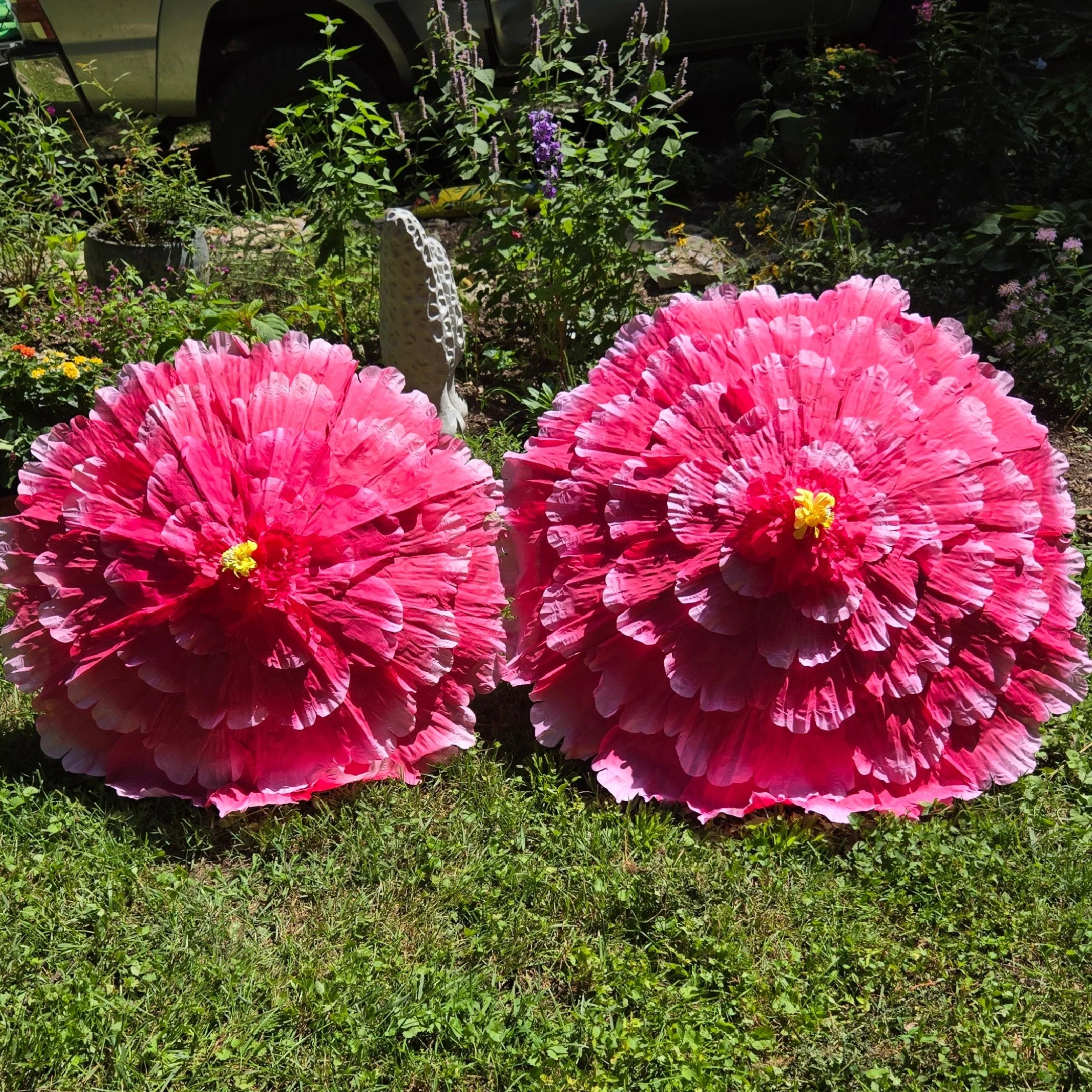DoublePinkFlower1.JPG