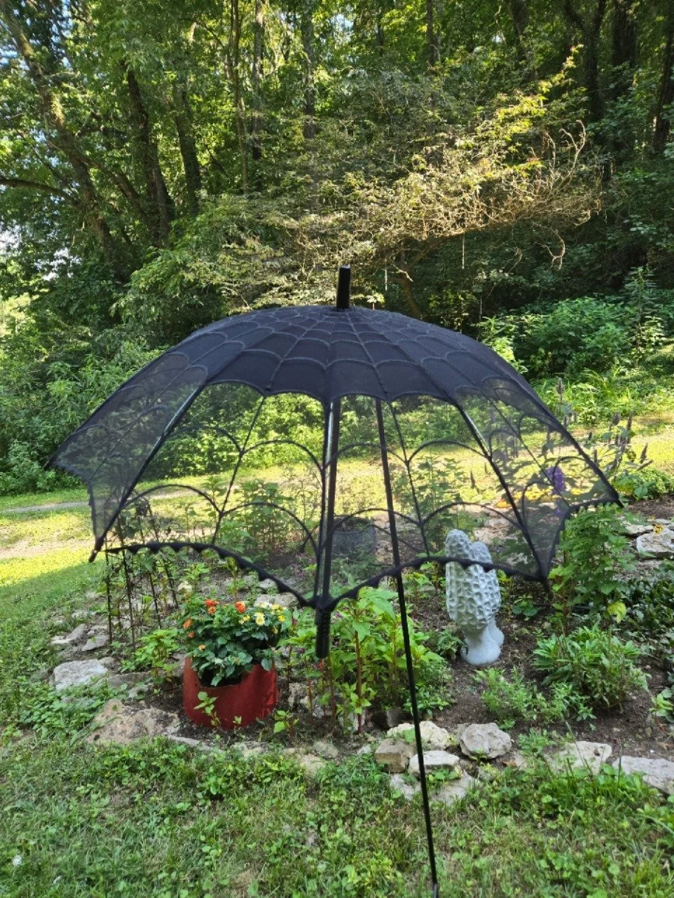 SpiderWeb1a.JPG