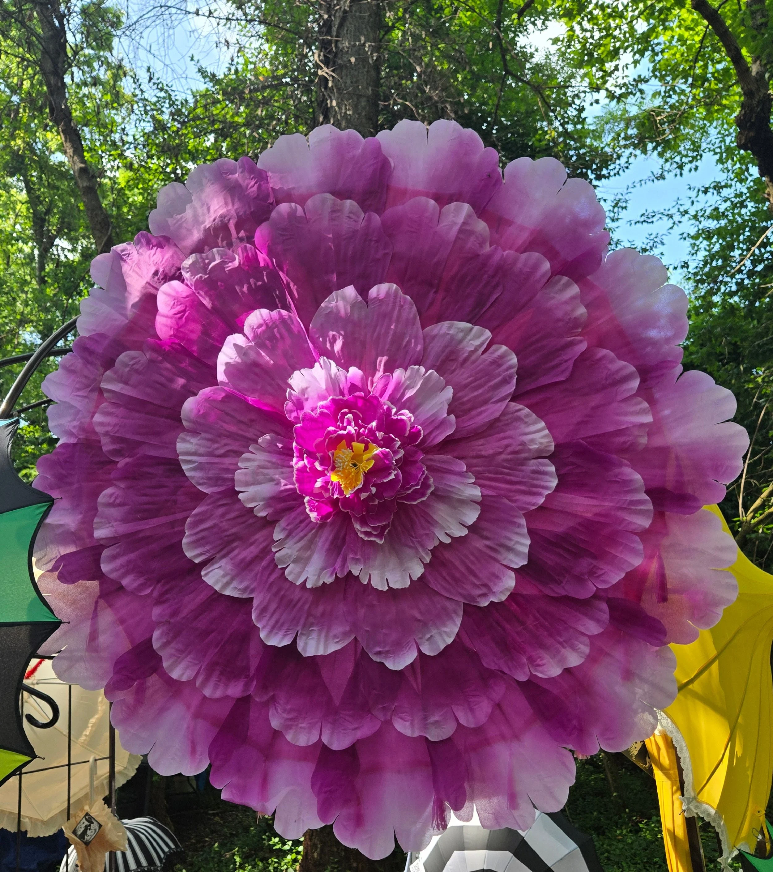 Purple Flower.JPG
