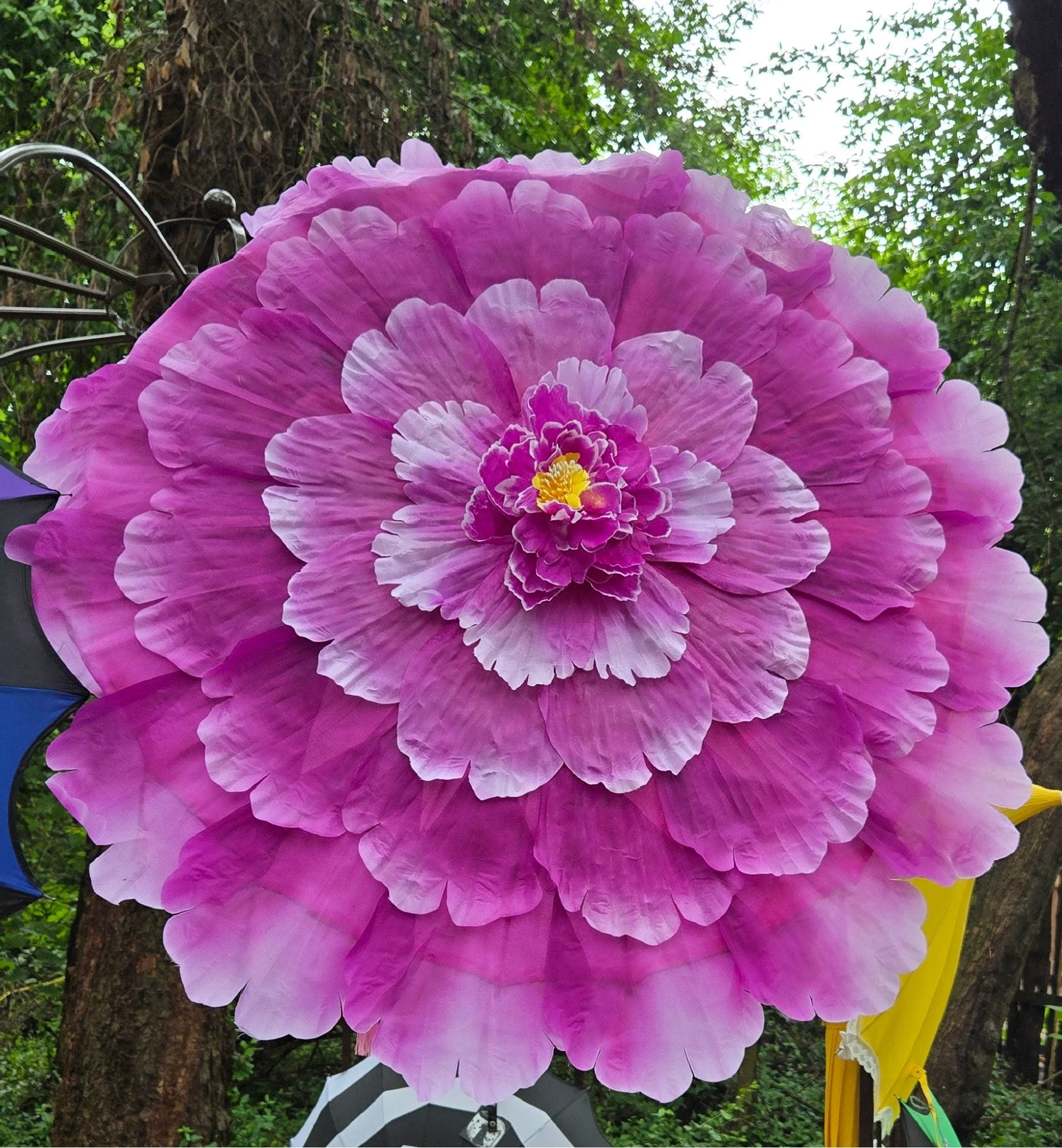 Purple Flower1.JPG