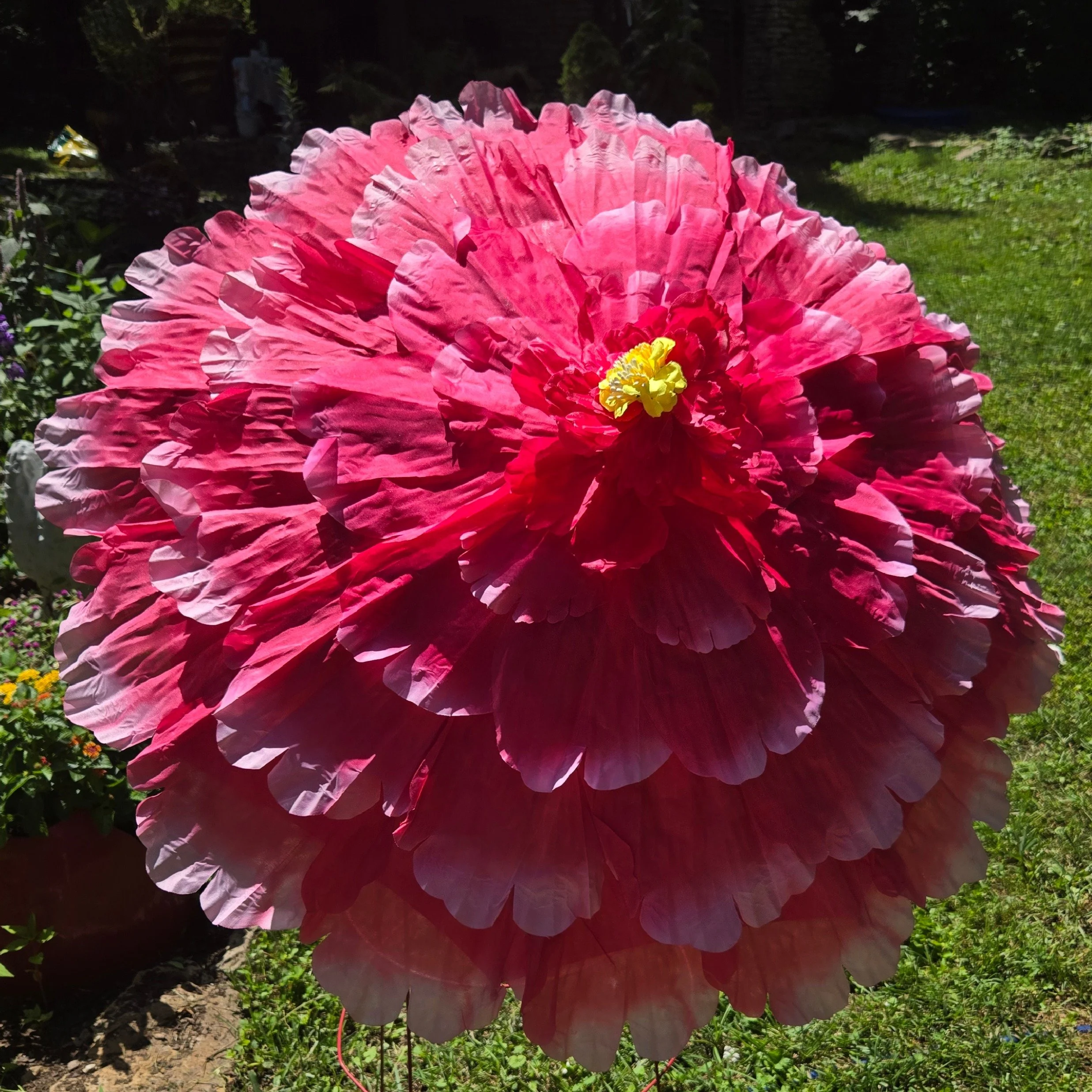 SinglePinkFlower.JPG