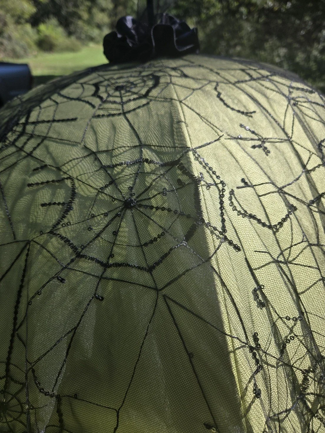 SpiderwebSequinPic2.jpg