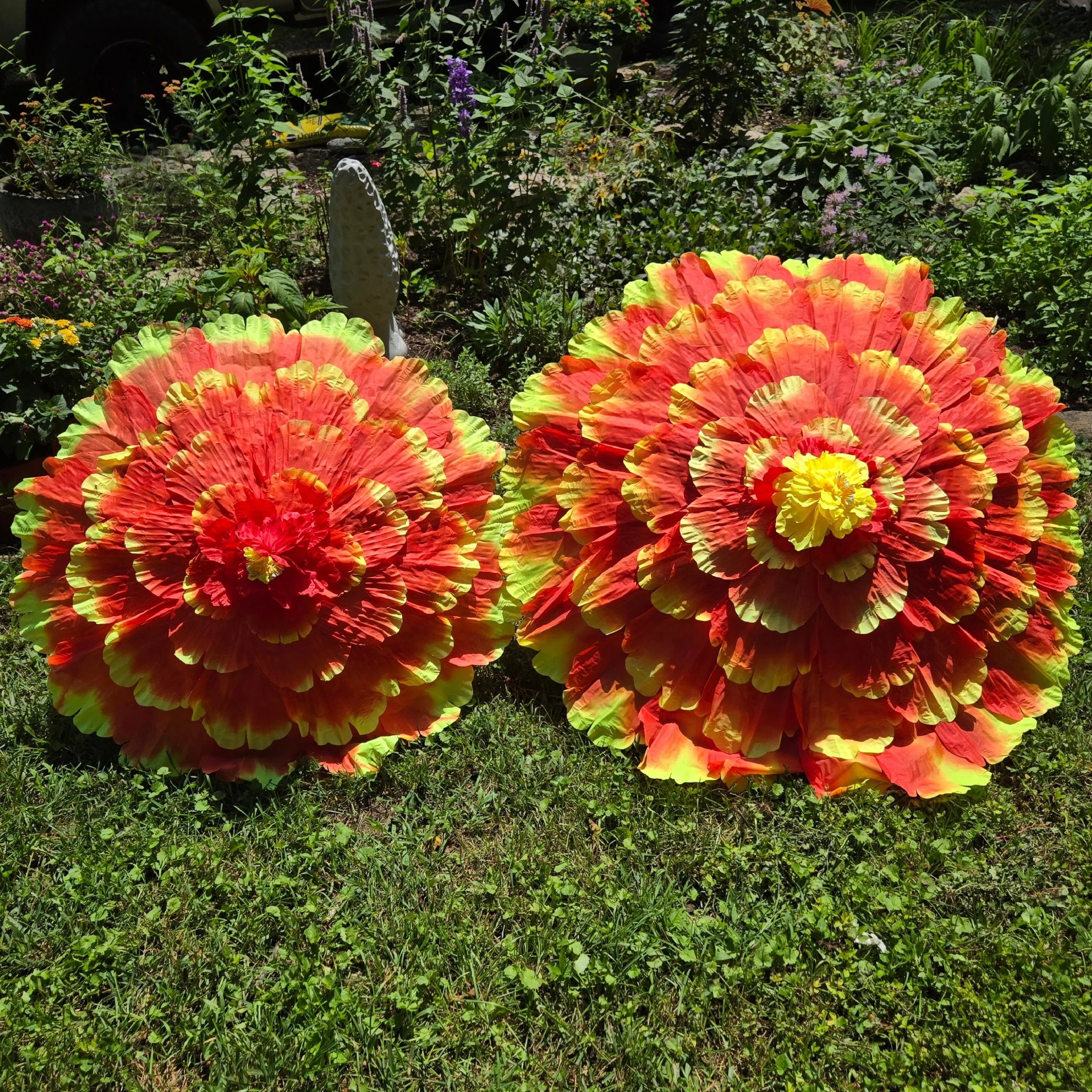 DoubleOrangeFlower.JPG