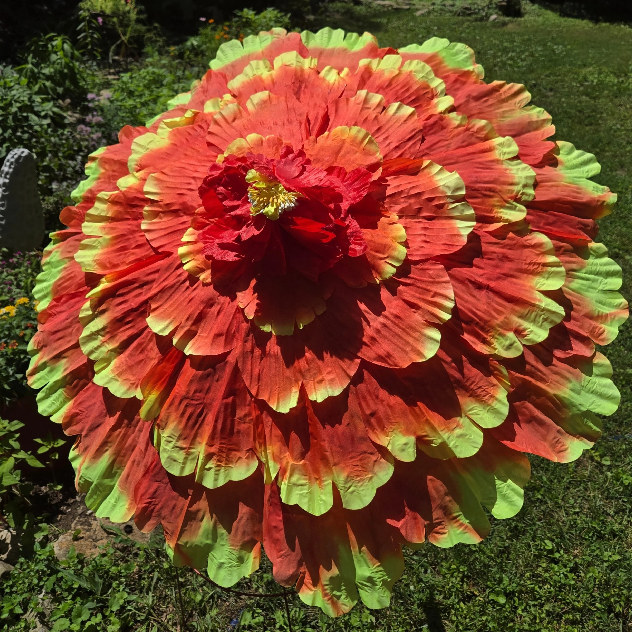 SingleOrangeFlower-Small.JPG