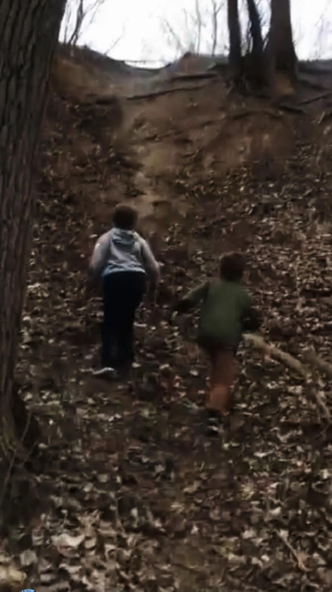SP7.jpg