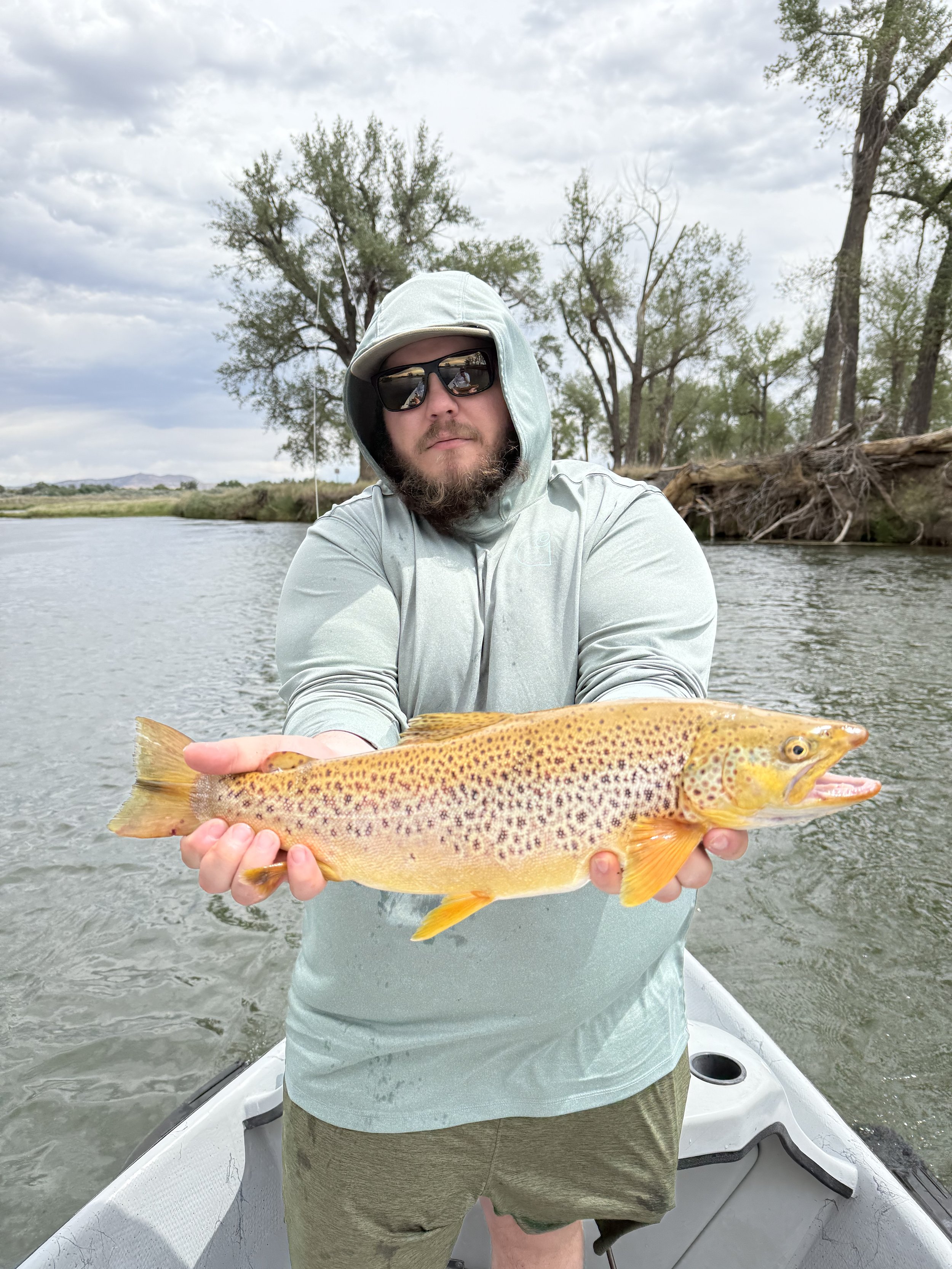 Jeffry Clark Holding Large Brown Trout from the Bighorn River in Thermopolis Wyoming.